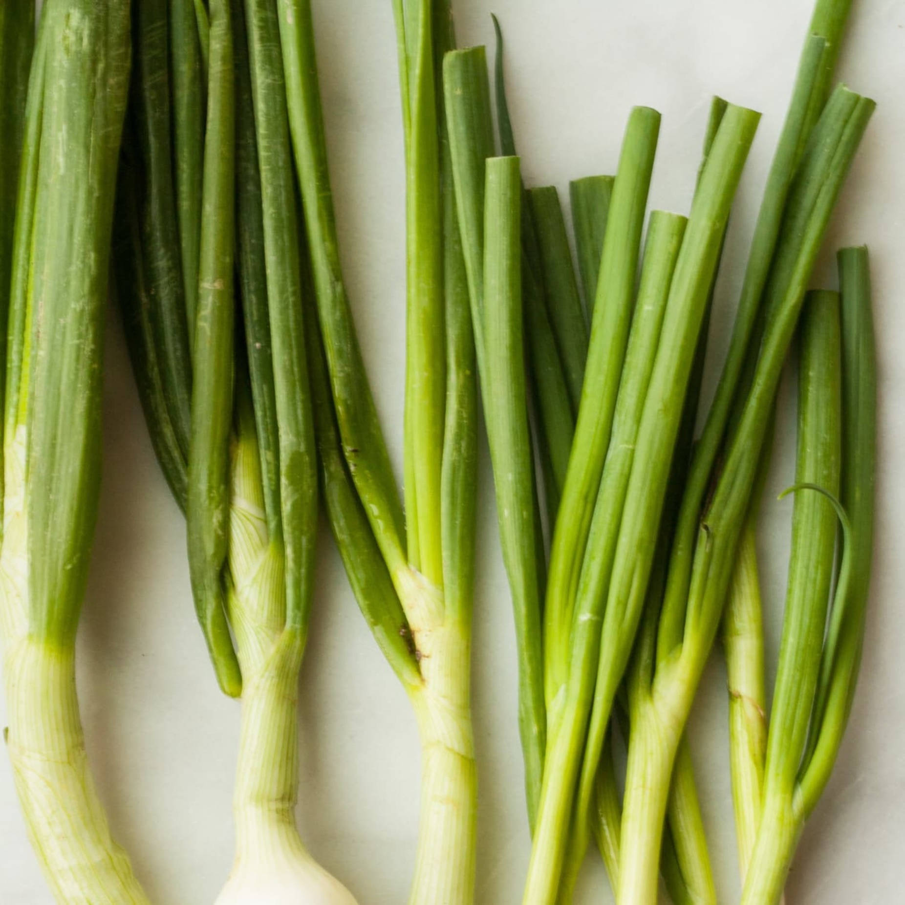 Vibrant Beauty Of Fresh Green Onions