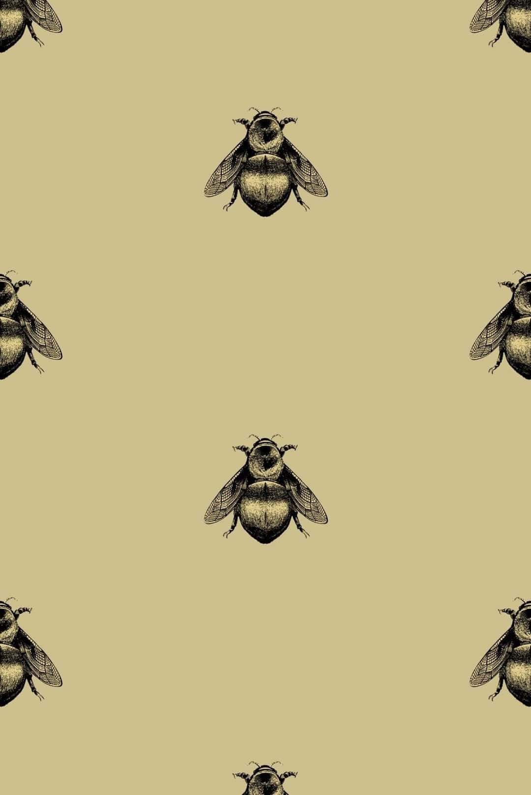 Vibrant Bee On Flower Iphone Wallpaper