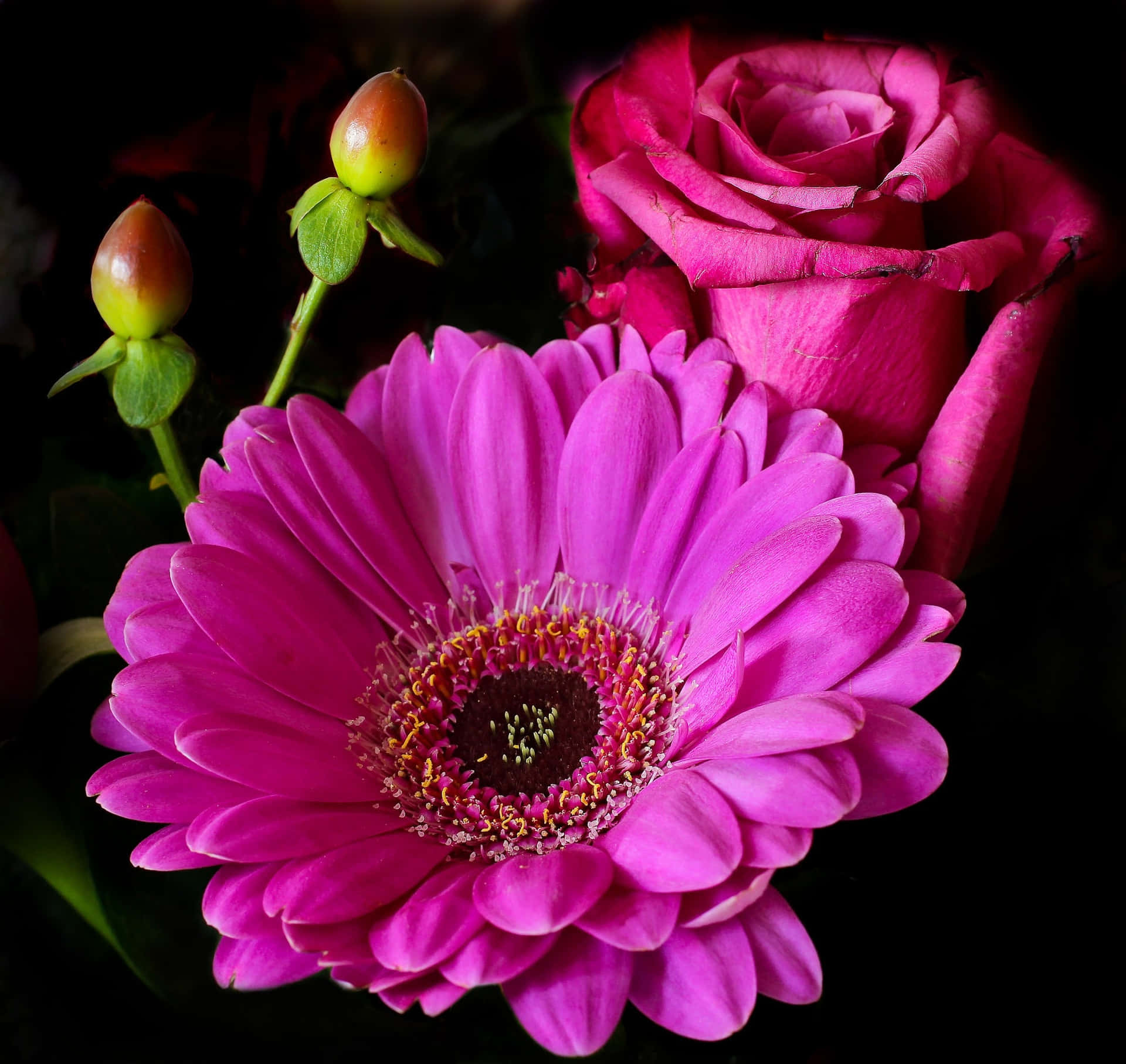 Vibrant Blooms Of Red And Pink Roses In A Picturesque Garden. Background