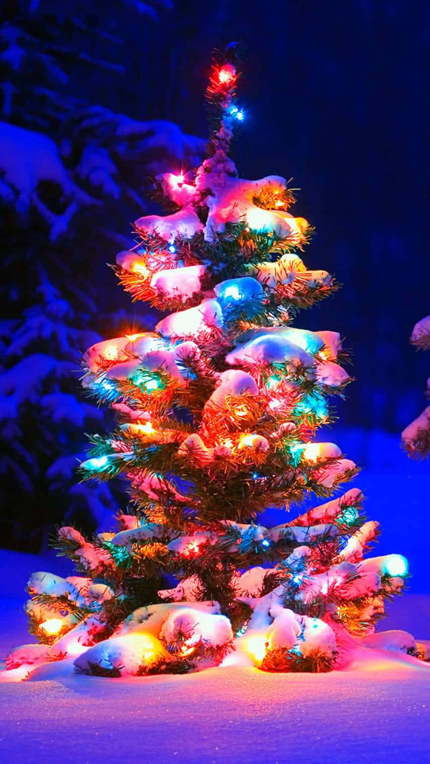 Vibrant Christmas Tree Snowy Night.jpg Background