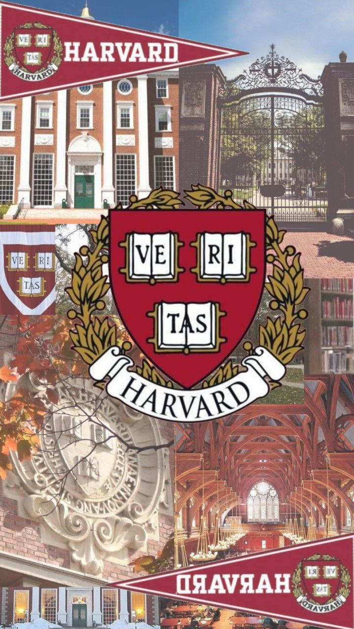 Vibrant Collage Of Harvard University's Unique Features. Background