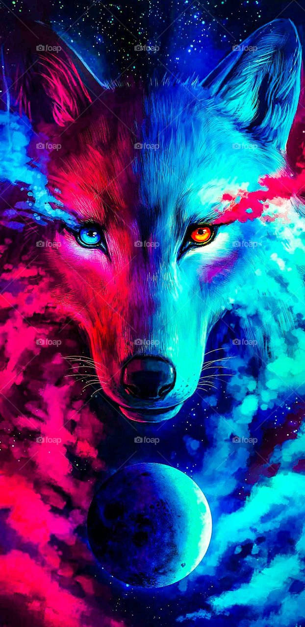 Vibrant Colorful Wolf Hd Phone Background