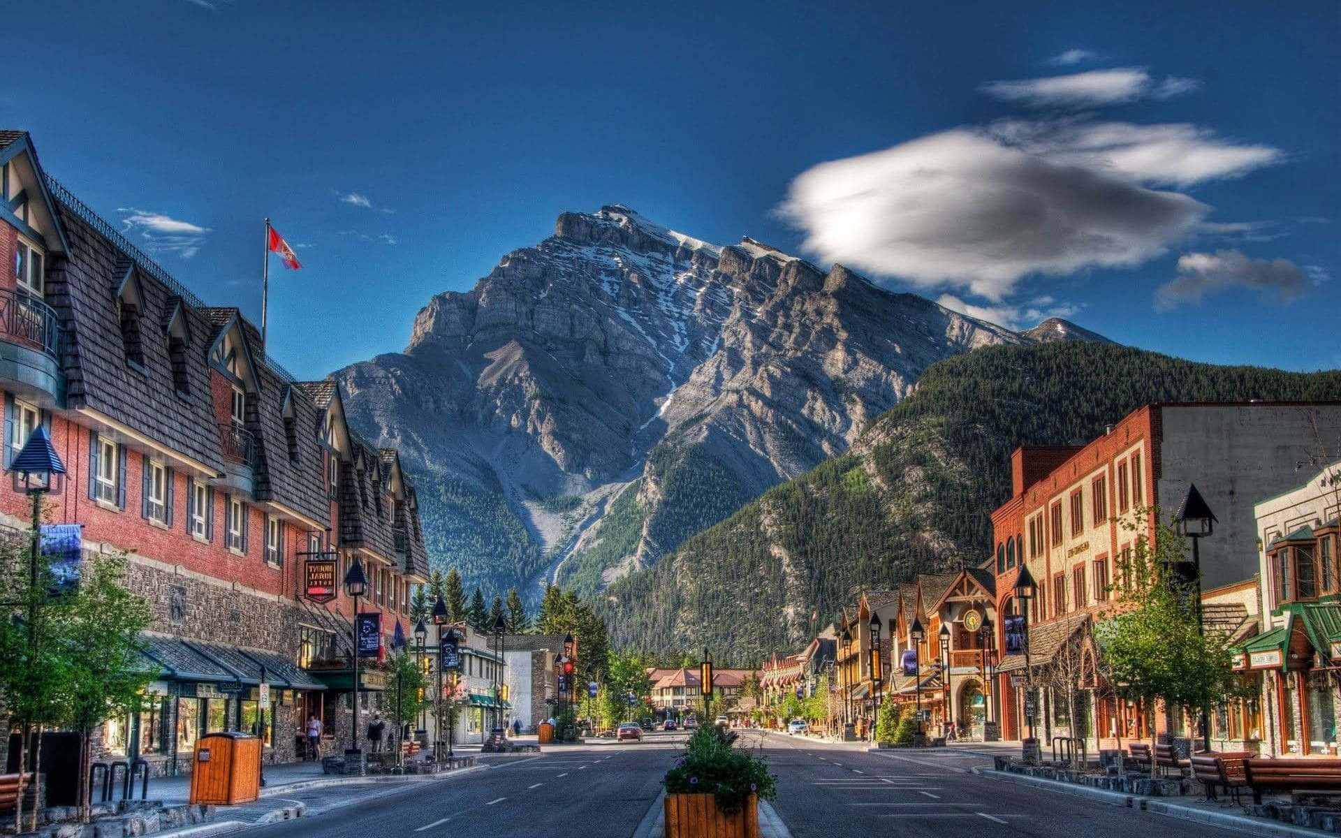 Vibrant Colors Of Colorado Background