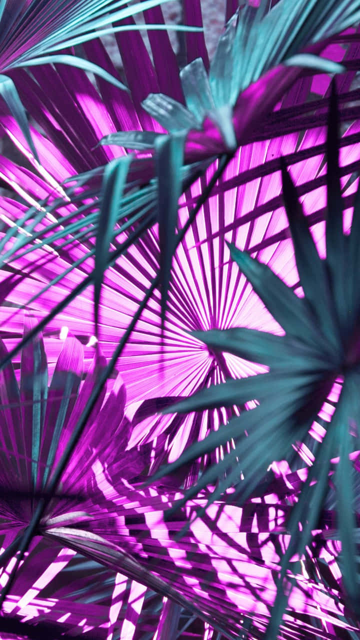 Vibrant Combination Of Neon Green And Purple Background