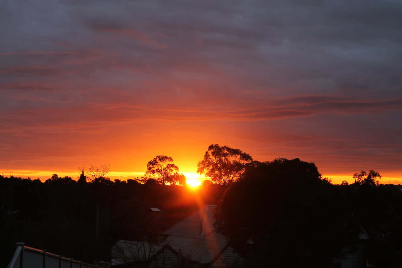 Vibrant Dawn Sunrise