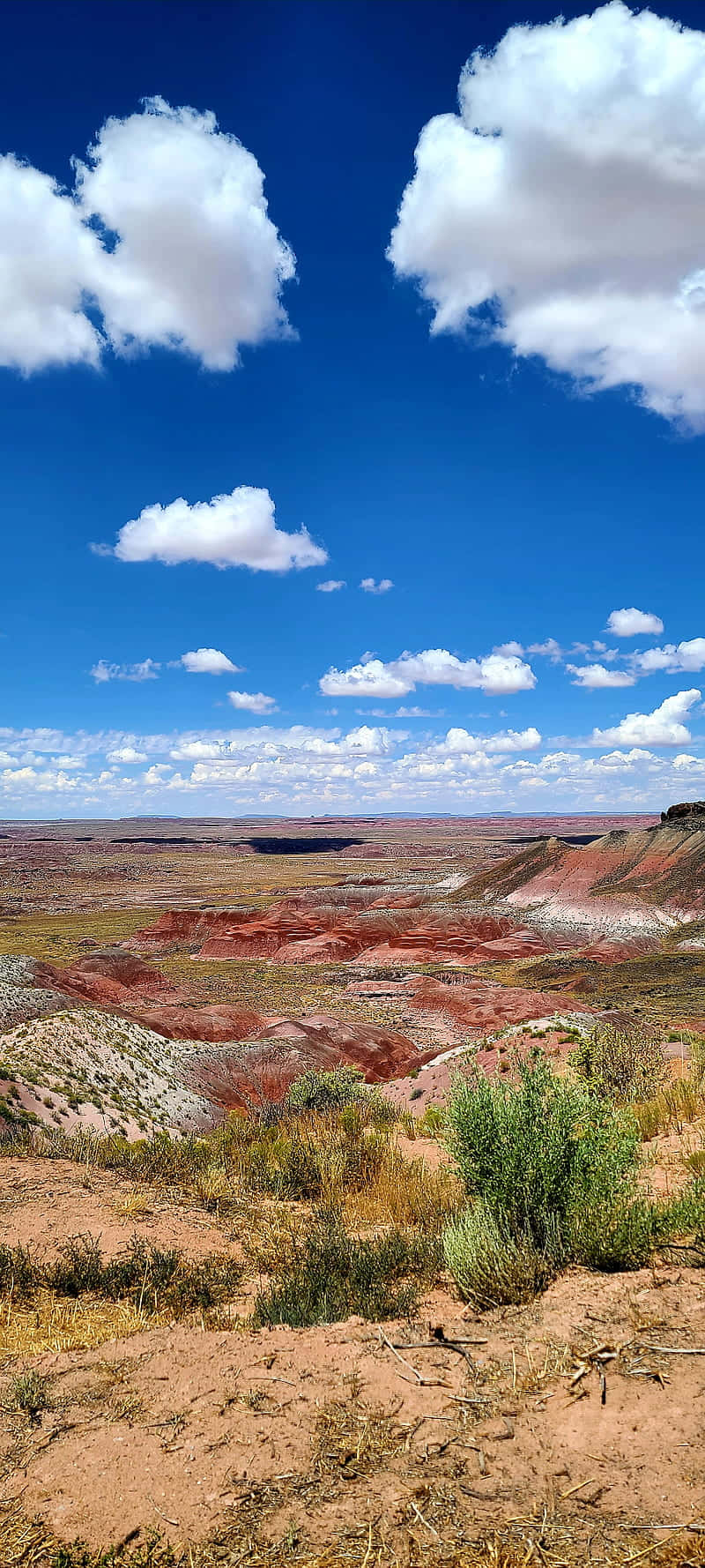 Vibrant_ Desert_ Landscape Background