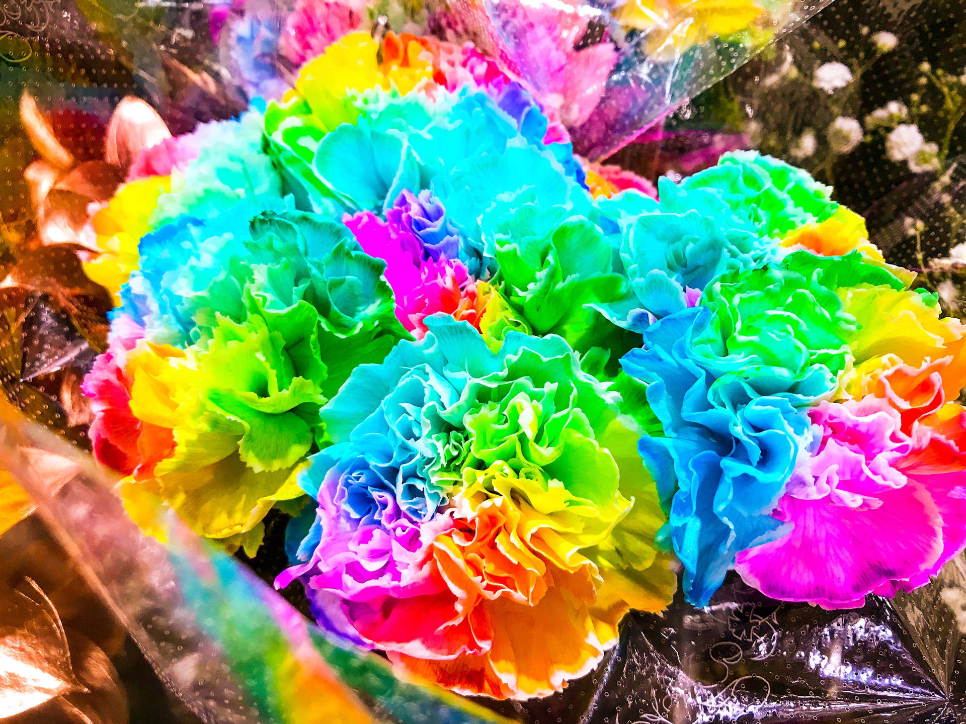 Vibrant Dyed Carnation Flowers Background