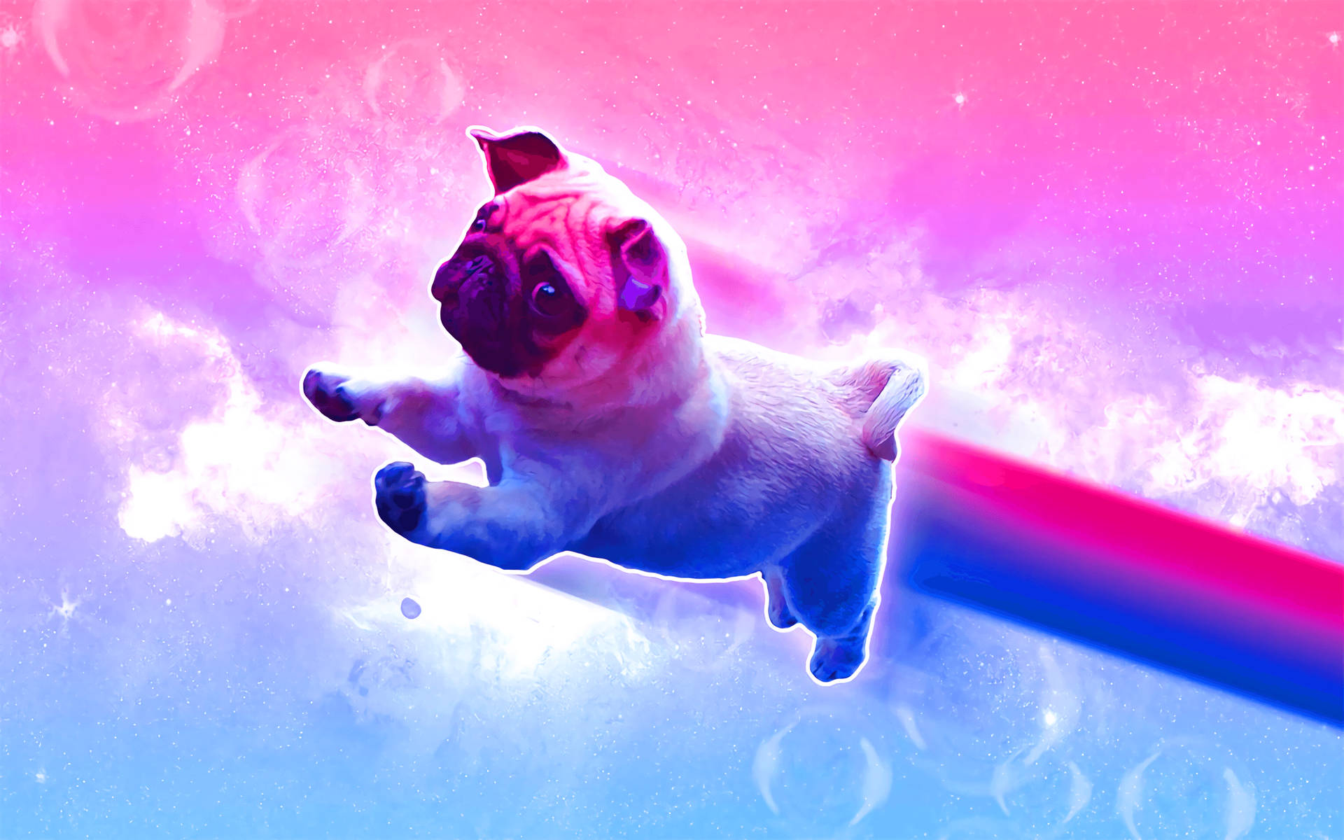 Vibrant Expression Of Pride - Bisexual Flag Pug Background