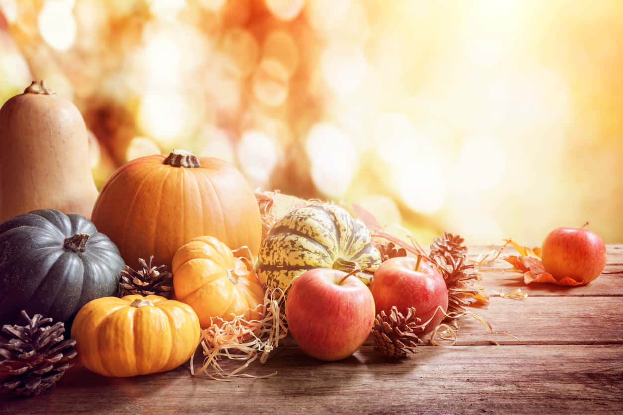 Vibrant Fall Pumpkins Display Background