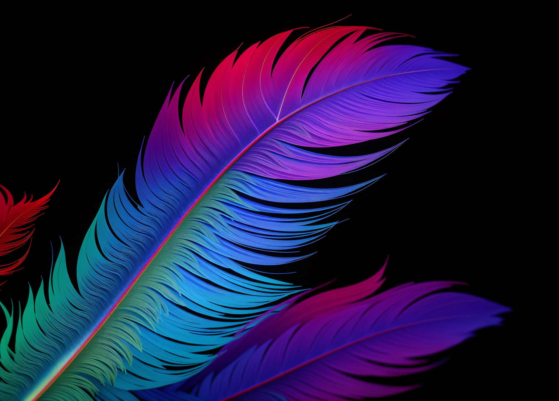 Vibrant Feather Artwork Background