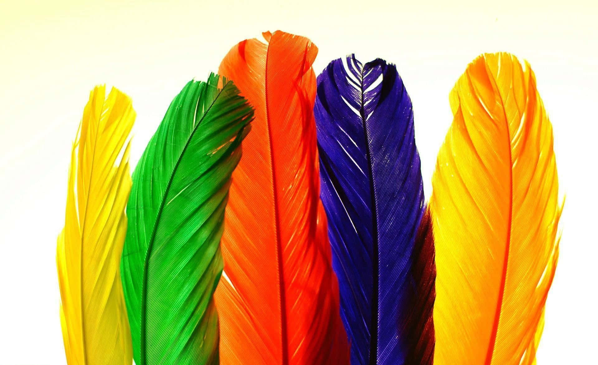 Vibrant Feathers Array Background