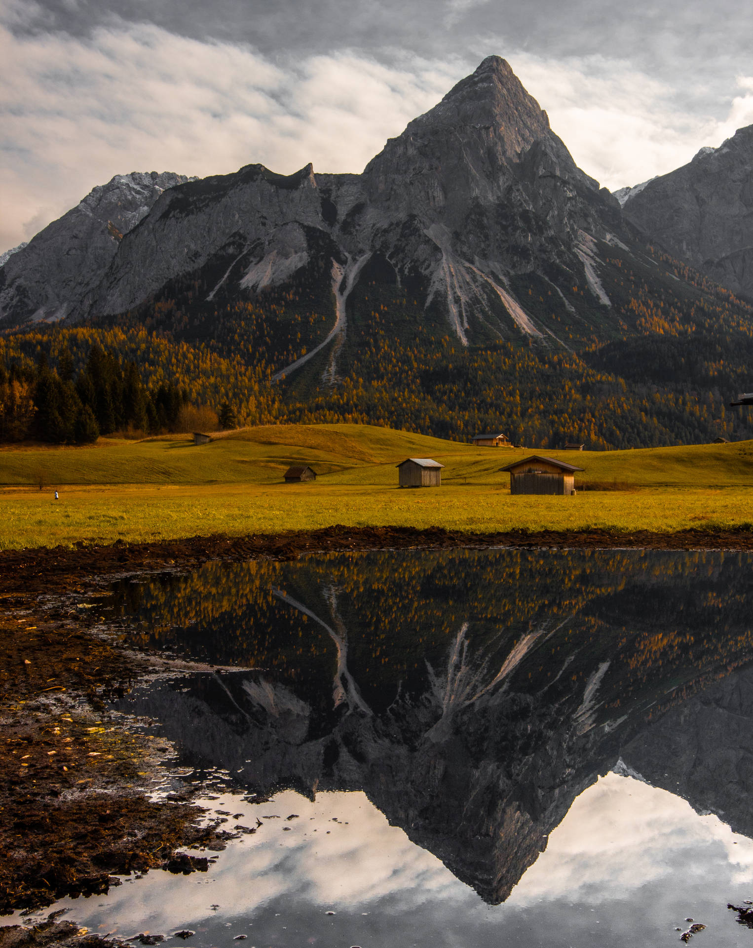 Vibrant Fields In Austria Background