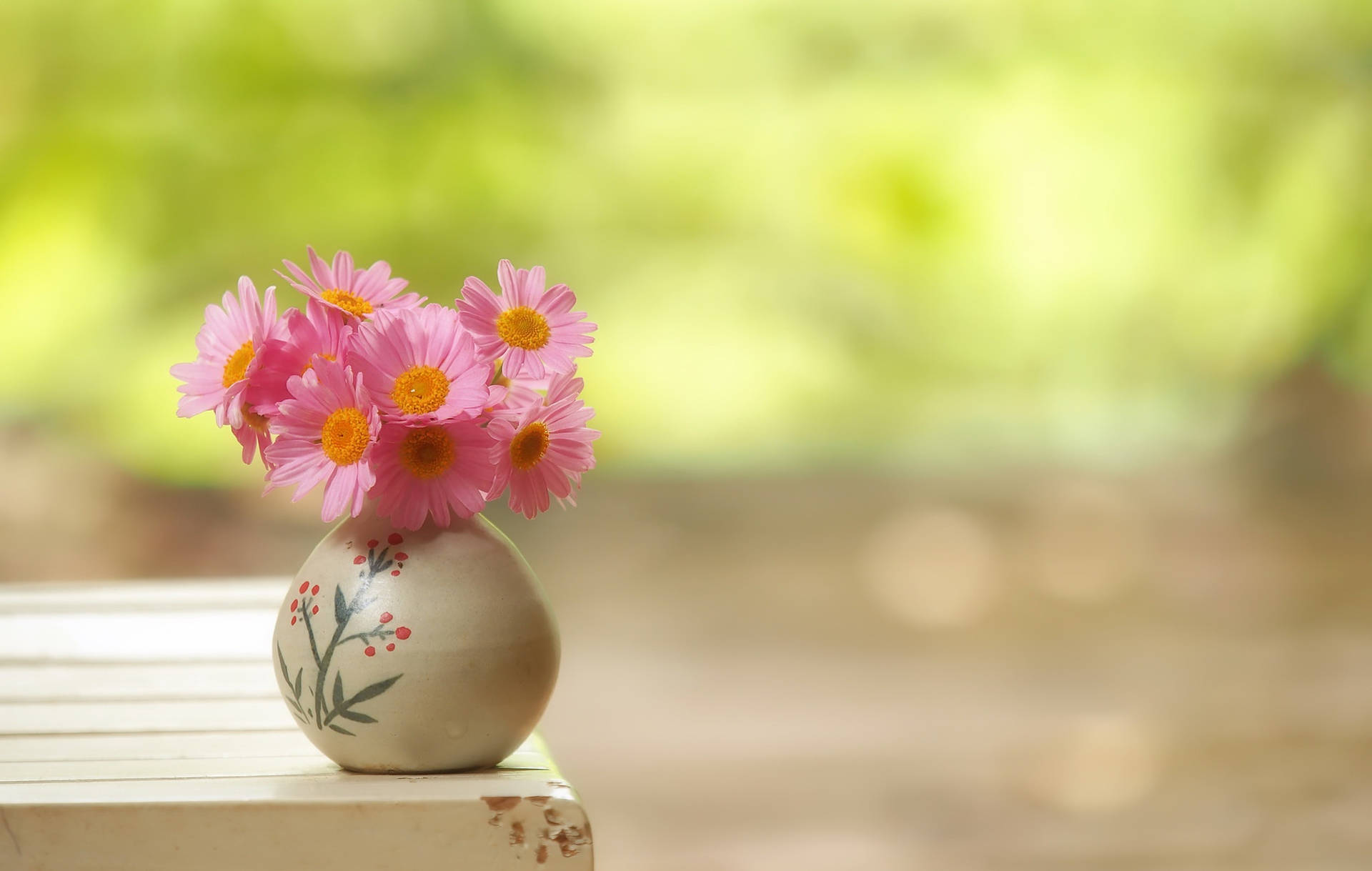 Vibrant Gerbera Daisies In A Chic Ceramic Flower Vase