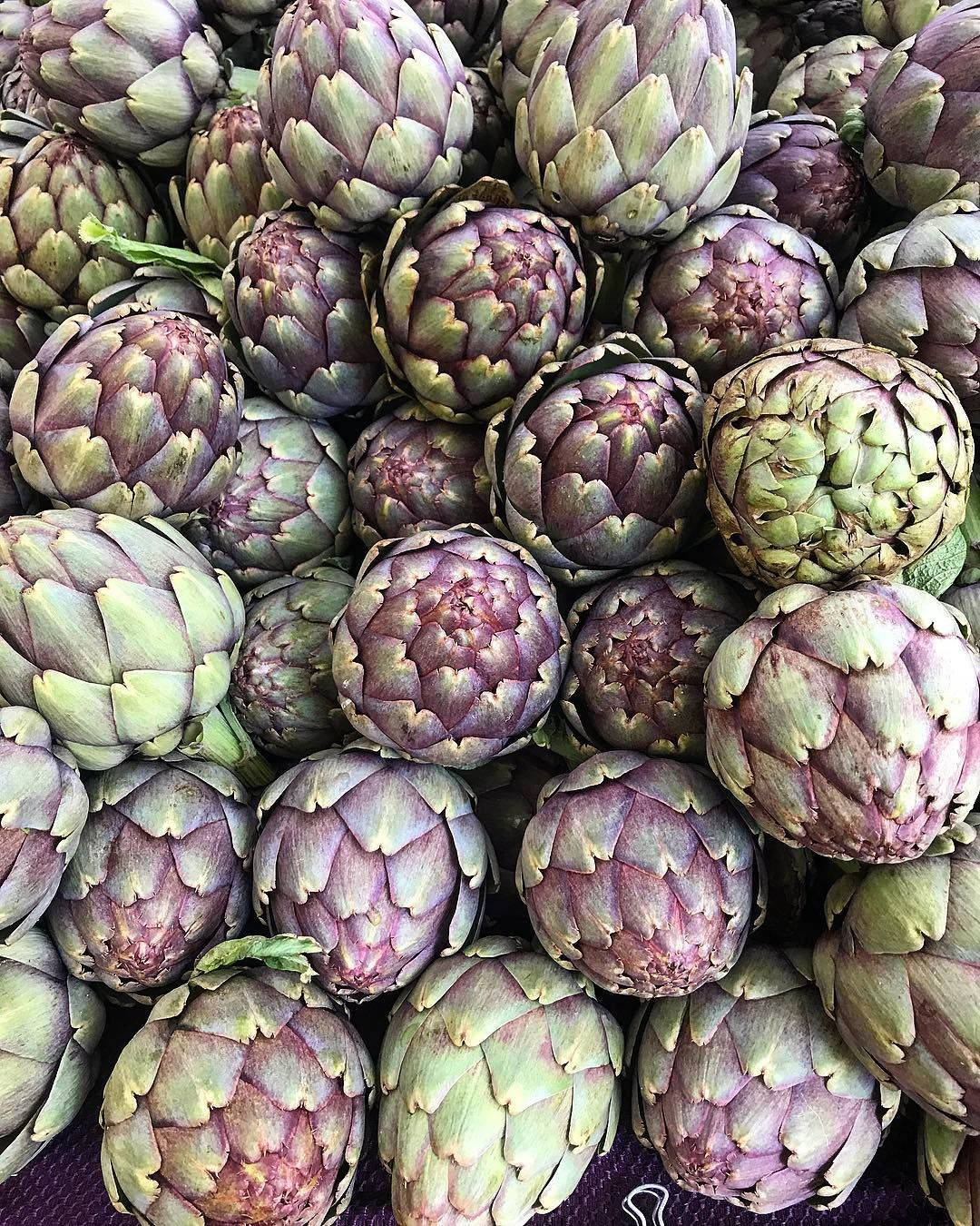 Vibrant Green And Purple Italian Artichoke Close-up Background