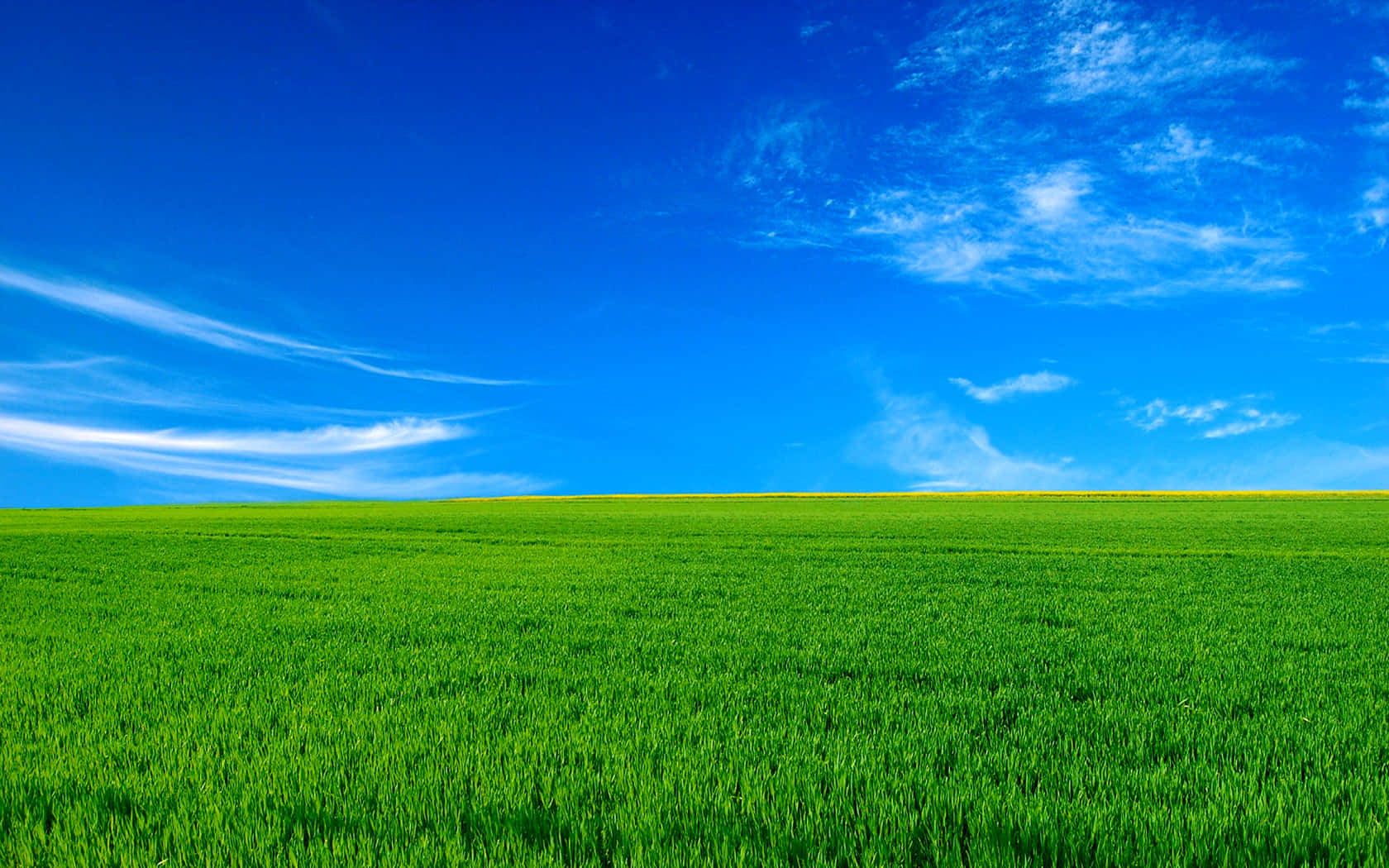 Vibrant Green Field Blue Sky Background