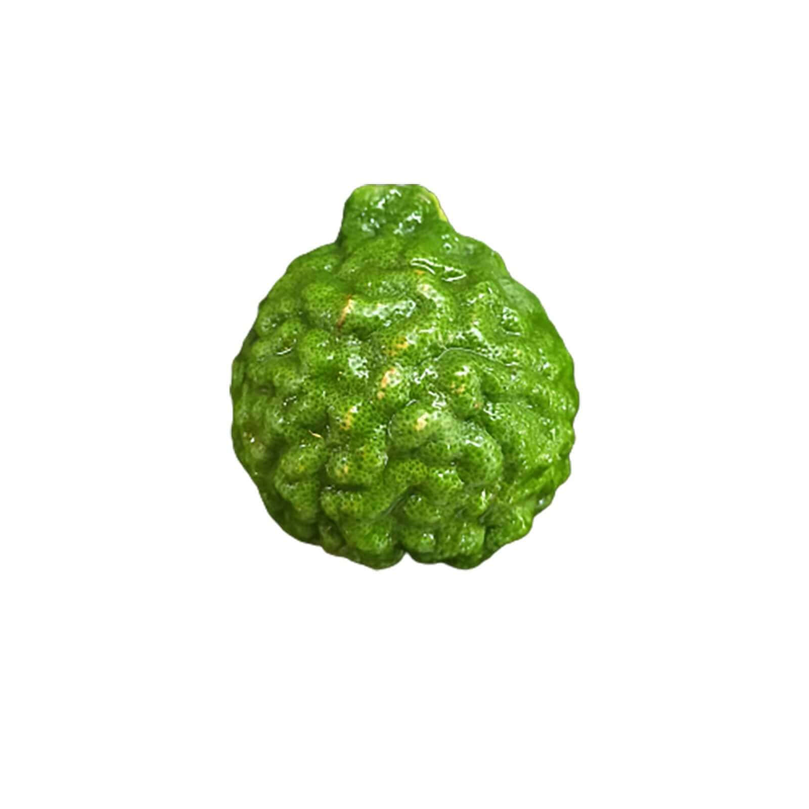 Vibrant Green Kaffir Lime Isolated Background