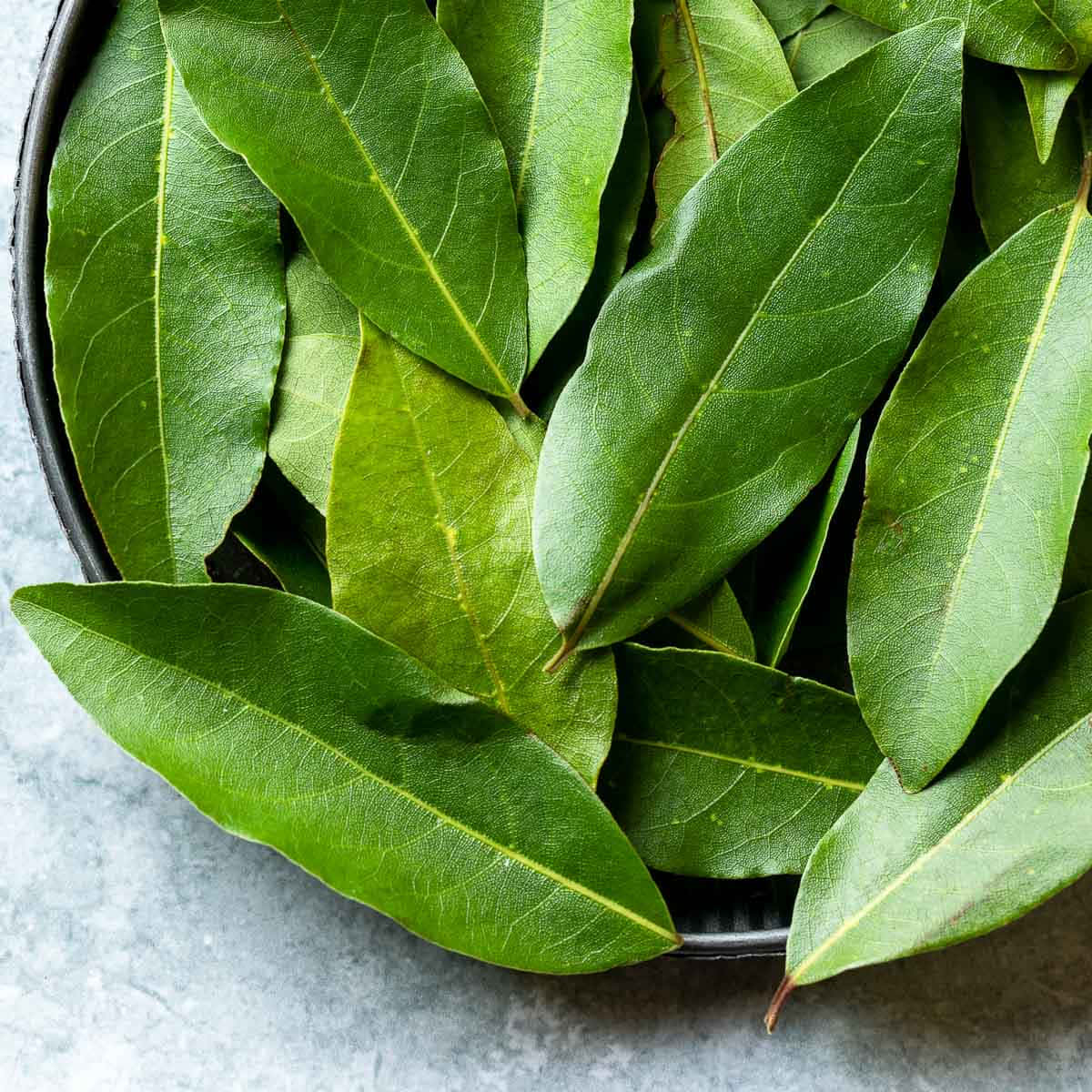 Vibrant Green Leaf In Natural Light Background