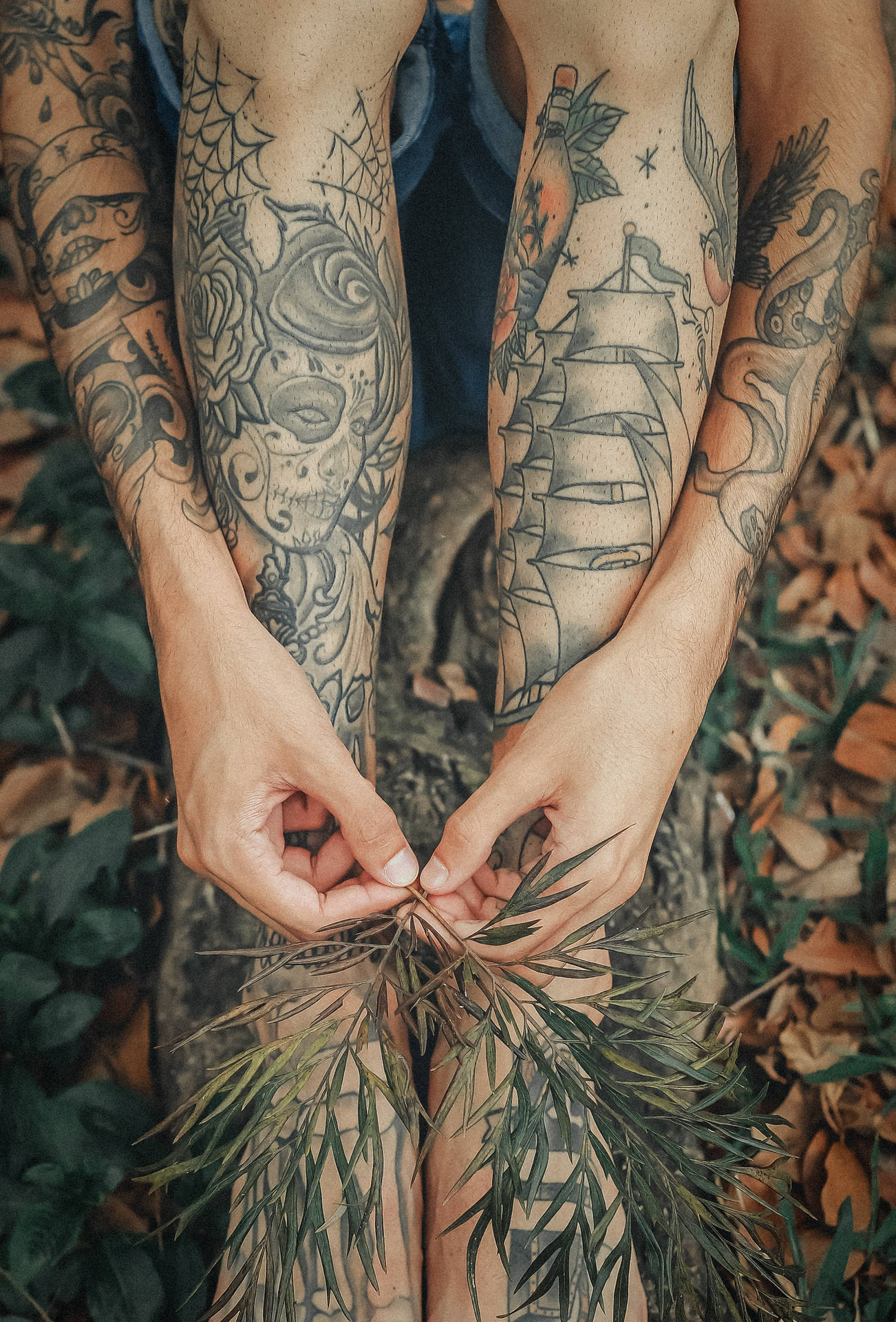 Vibrant Hd Tattoo Designs Adorning Arms And Legs
