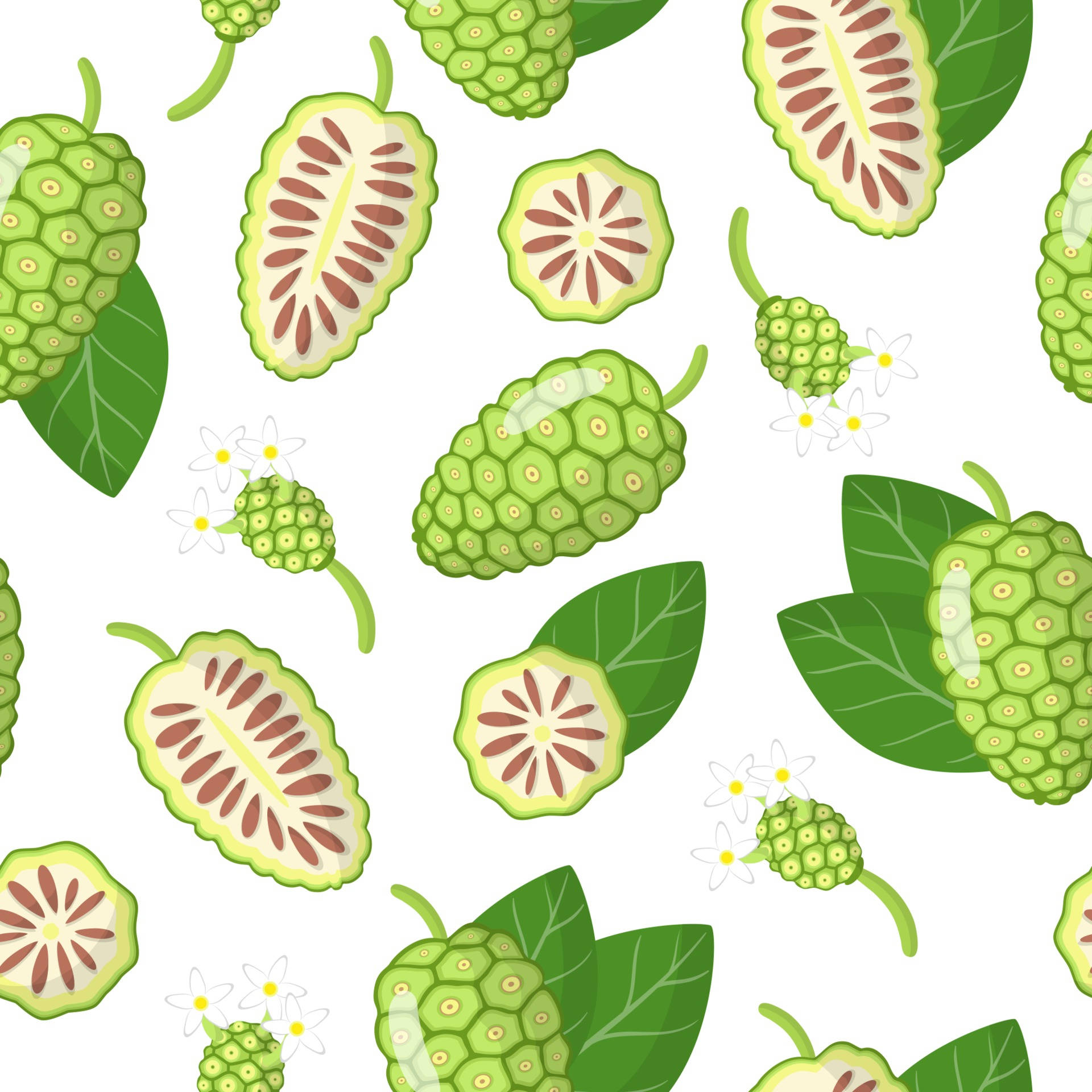 Vibrant Illustration Of Noni Fruits