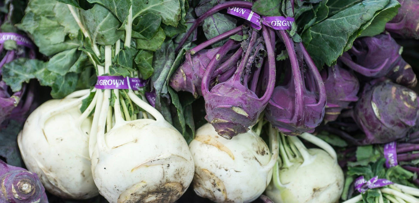 Vibrant Kohlrabi; A Purple Tag Delight Background