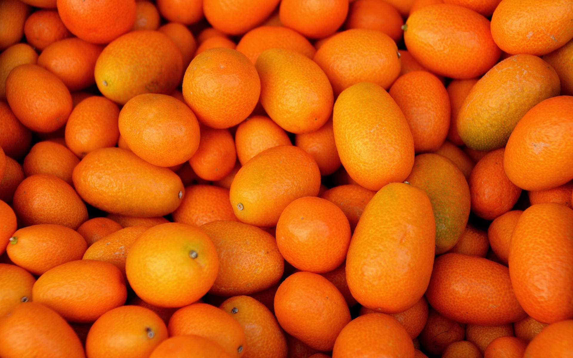 Vibrant Kumquat Fruits Close Up Shot