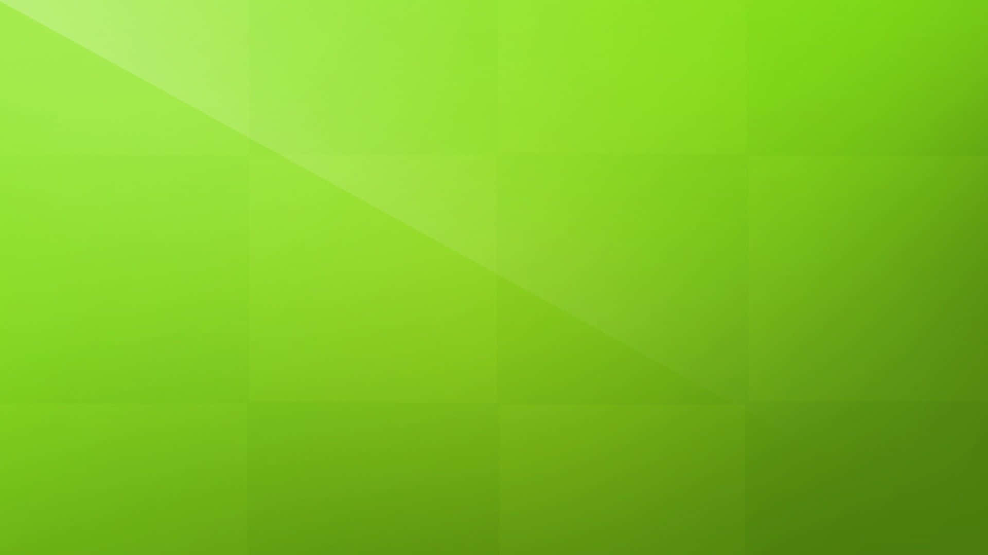 Vibrant Lime Green Abstract Wallpaper Background