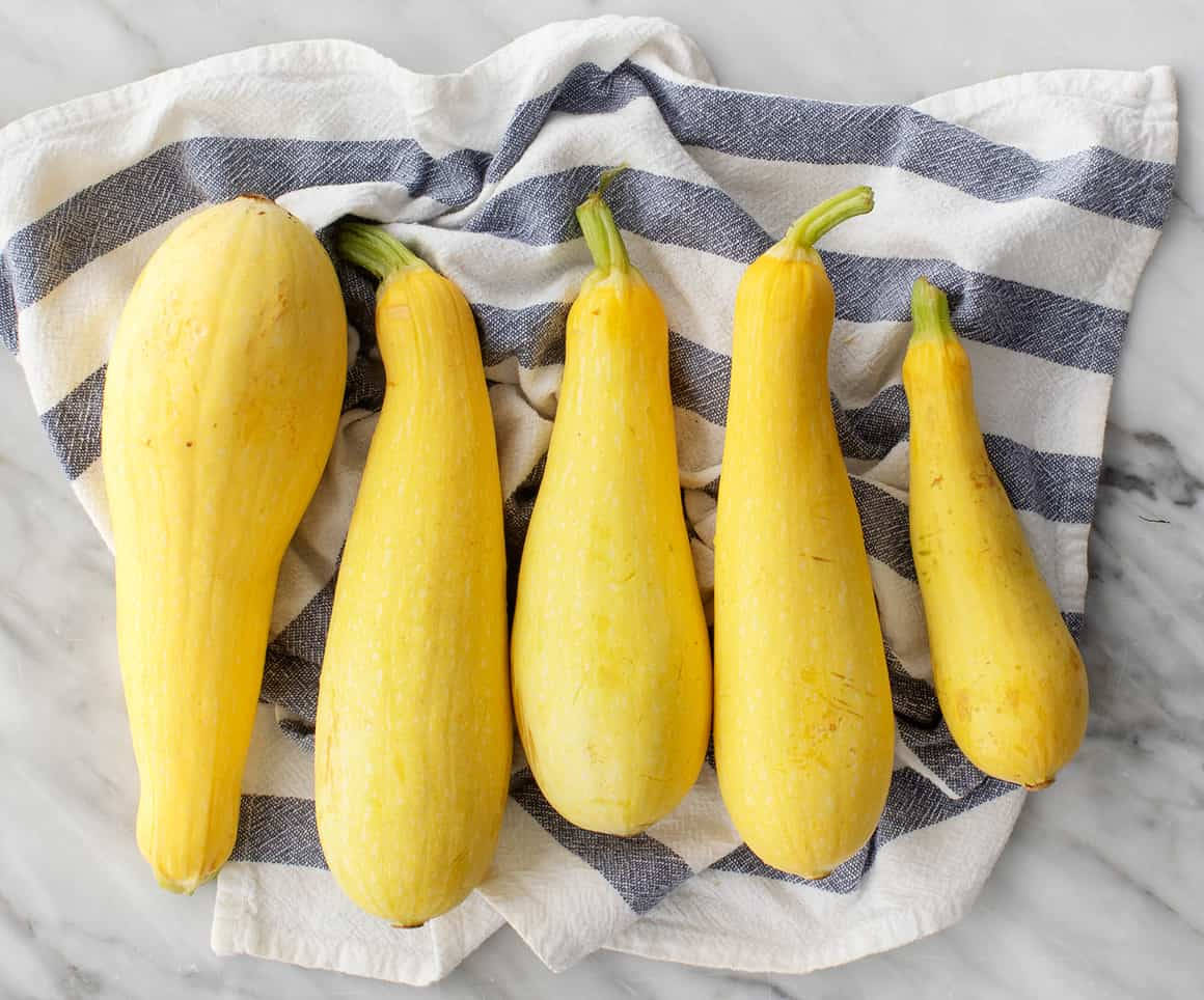 Vibrant Long Yellow Squash On Display Background