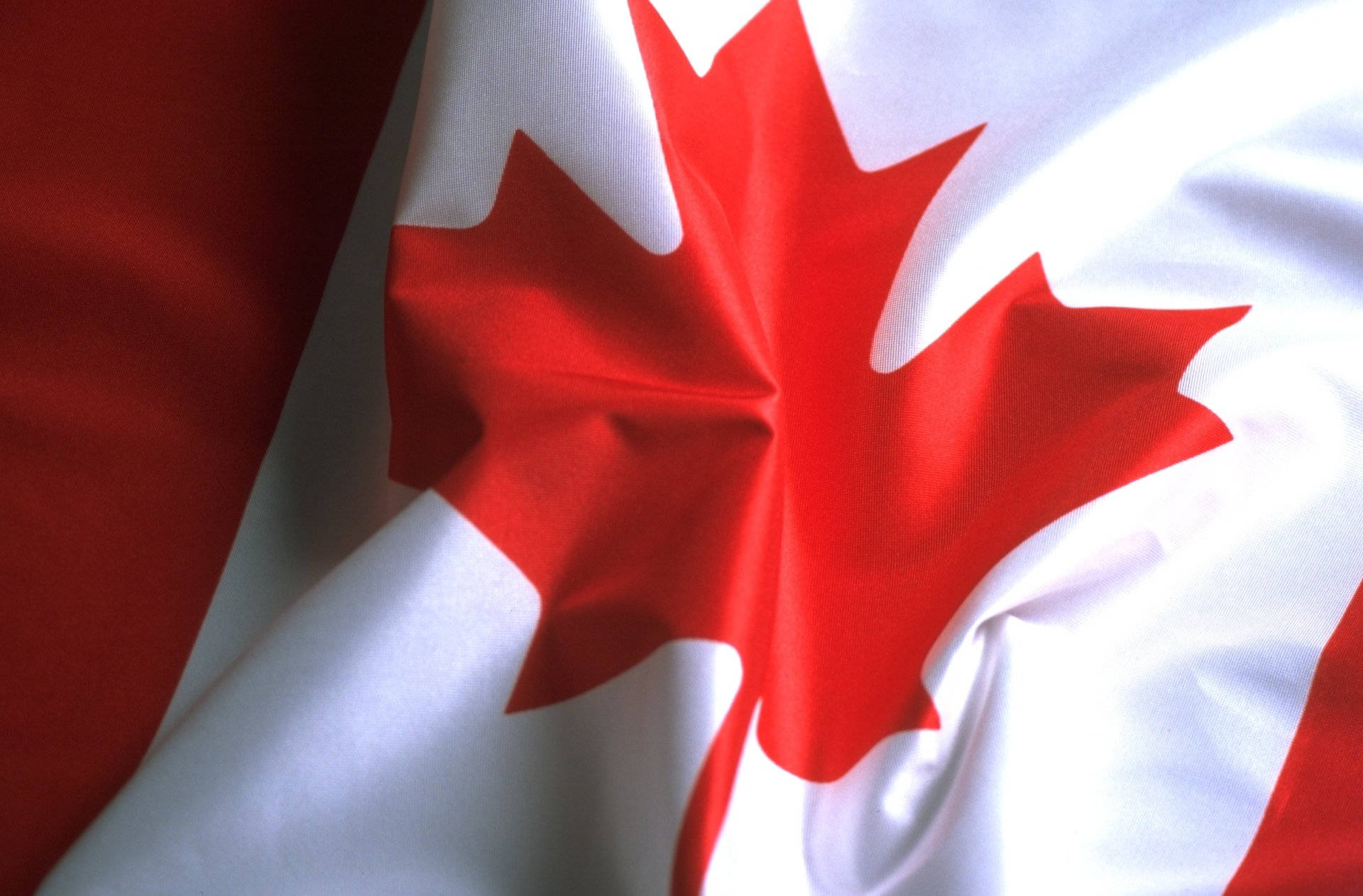 Vibrant Maple Leaf - Emblem Of Canada Background