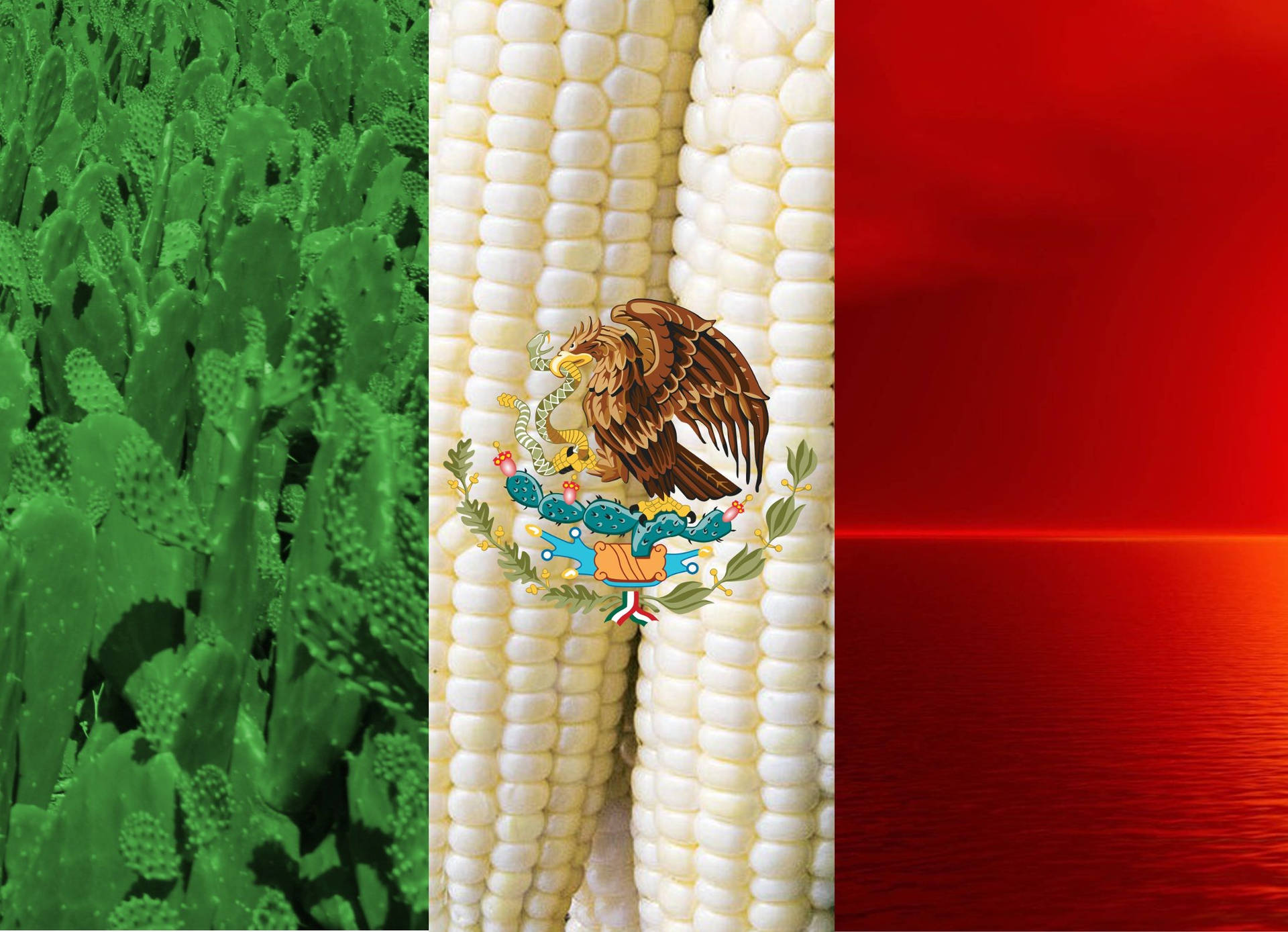 Vibrant Mexico Flag Embracing The Agricultural Richness Background