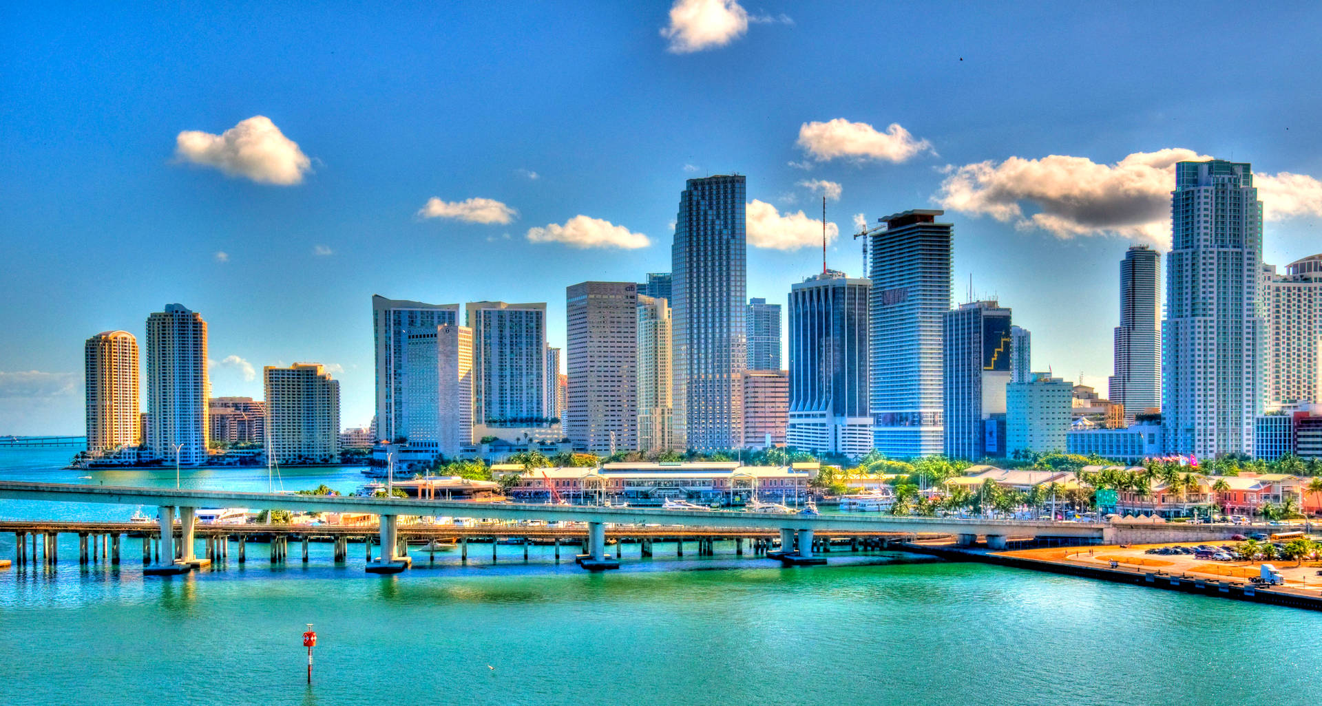 Vibrant Miami City Background