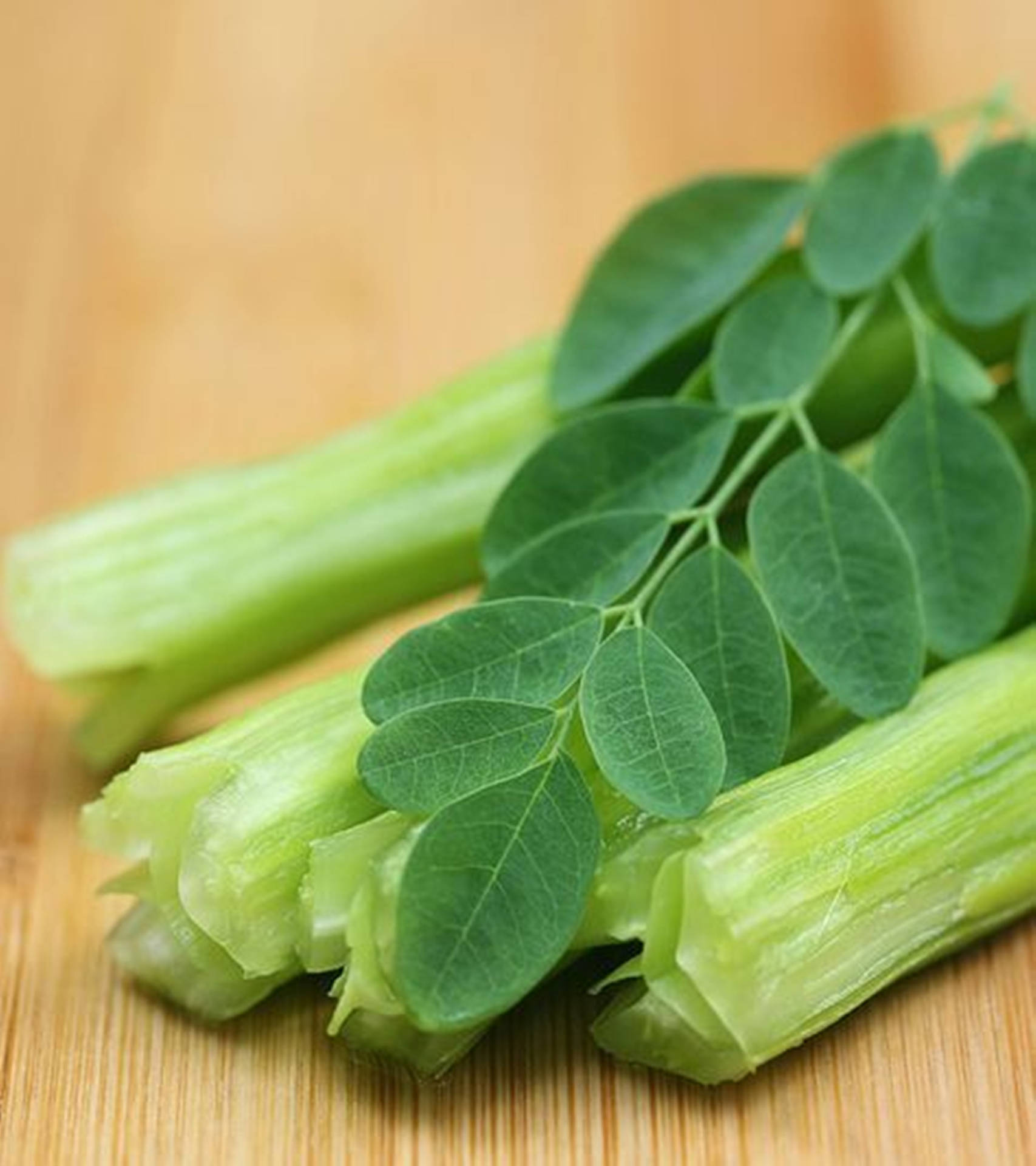 Vibrant Moringa Leaves On Stalks Background