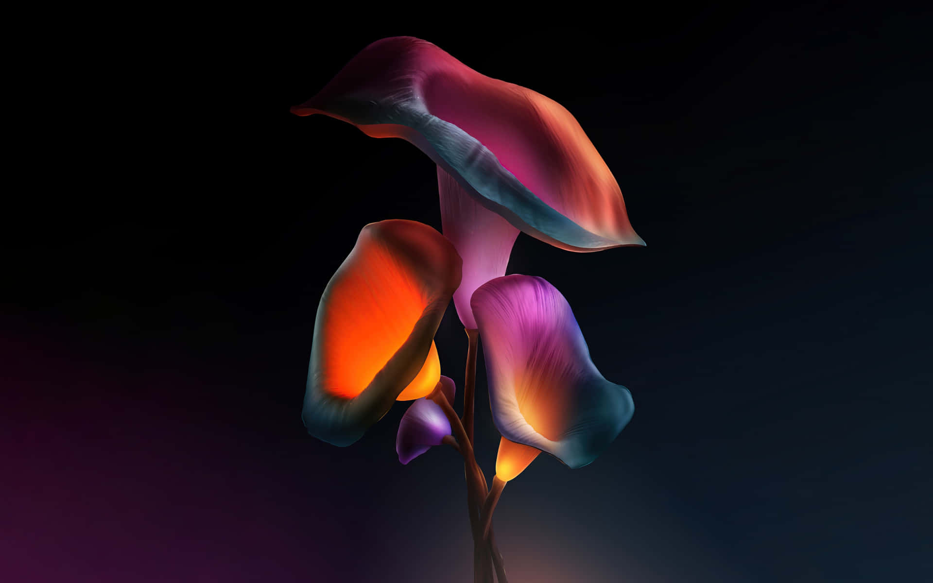 Vibrant Neon Calla Lilies4 K Background