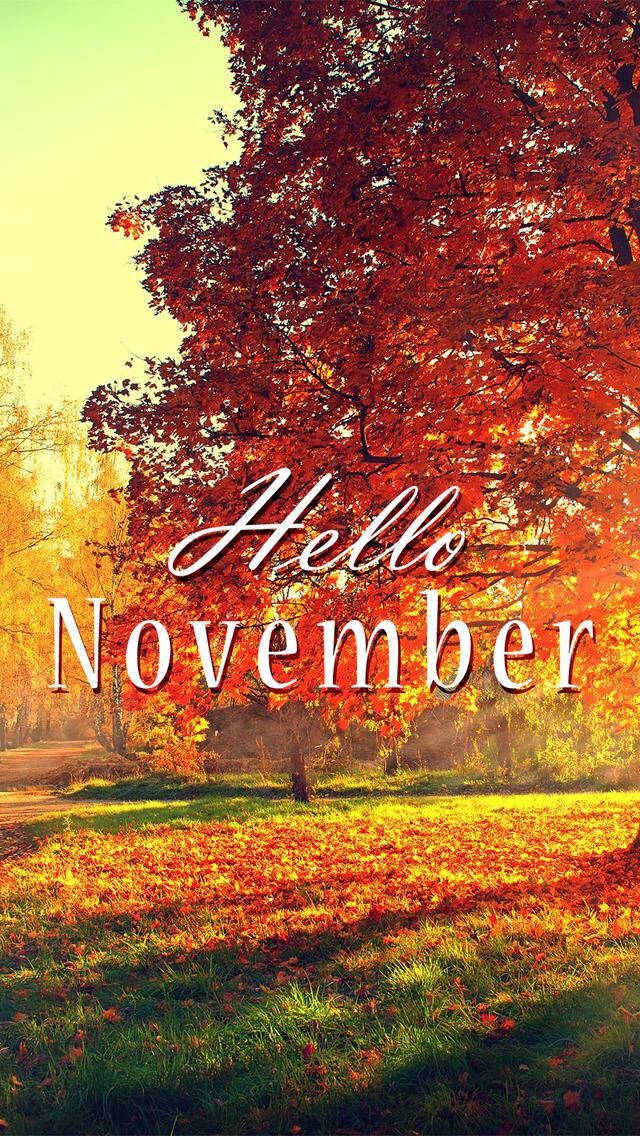 Vibrant November Iphone Screensaver Background