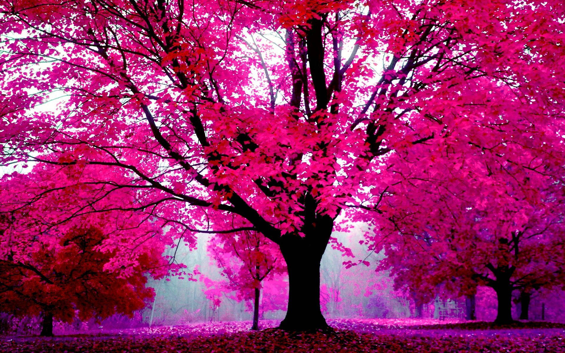 Vibrant Outlook Of Chic Pink Tree Background