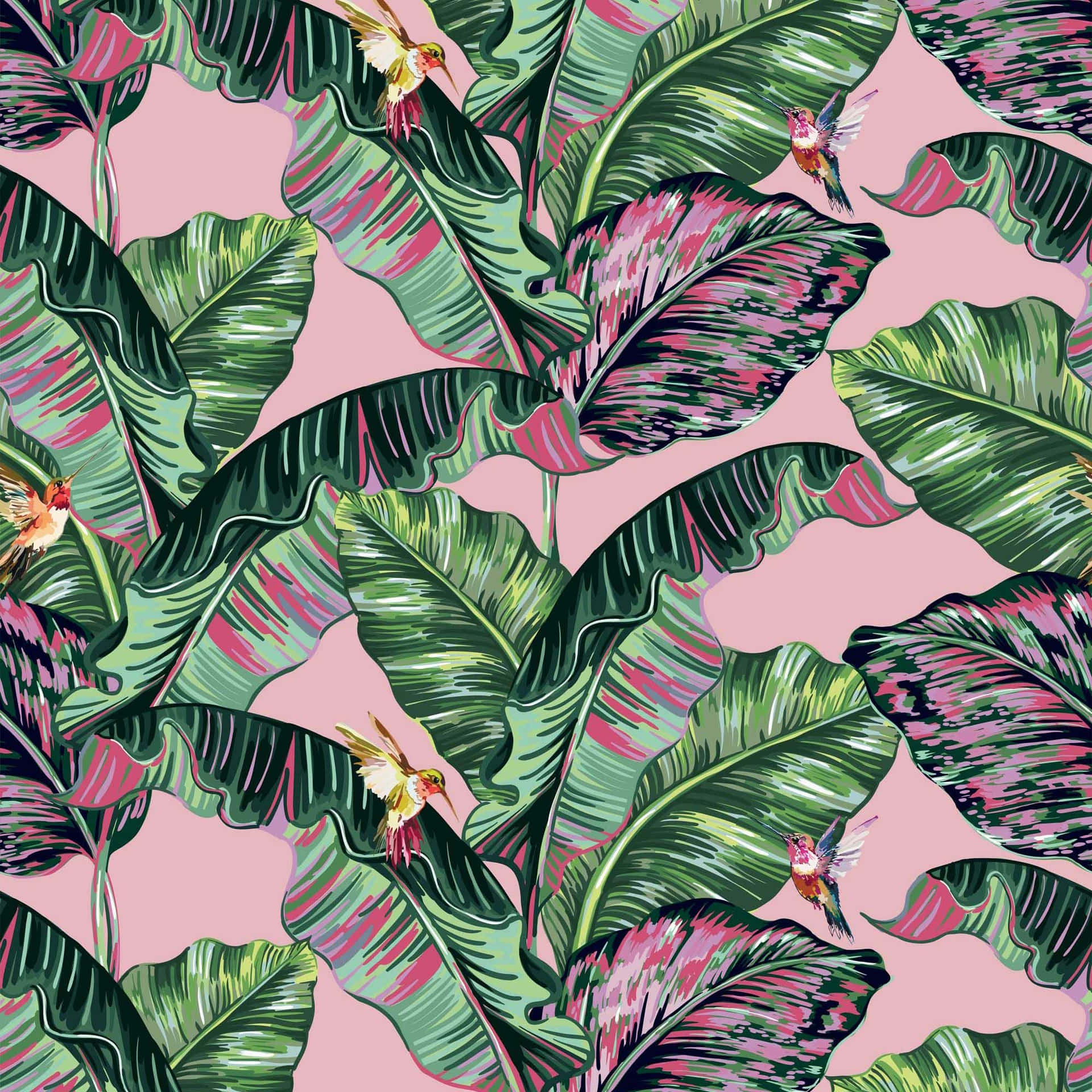 Vibrant Pink And Green Aesthetic Experience