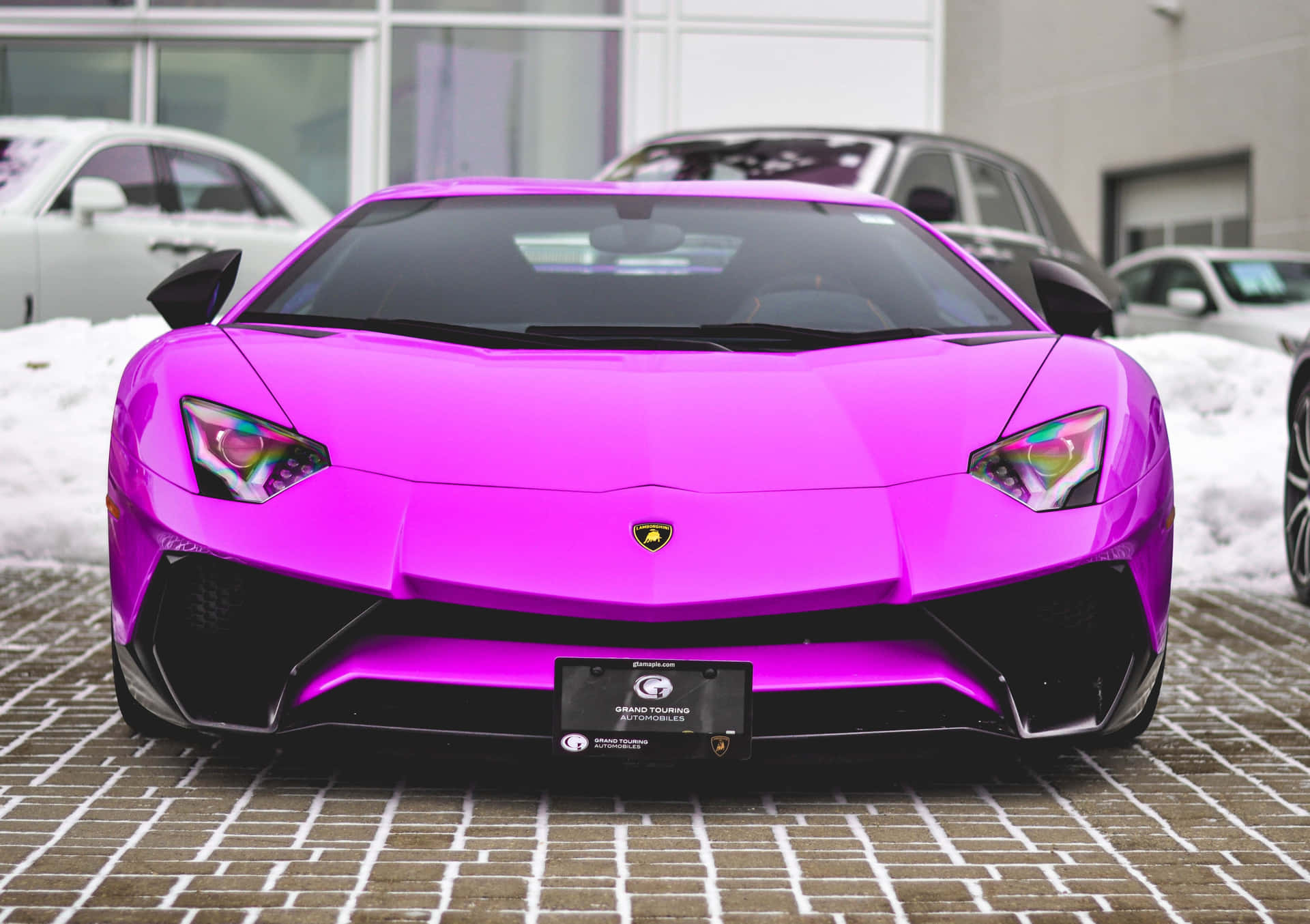 Vibrant Pink Lamborghini Aventador Front View