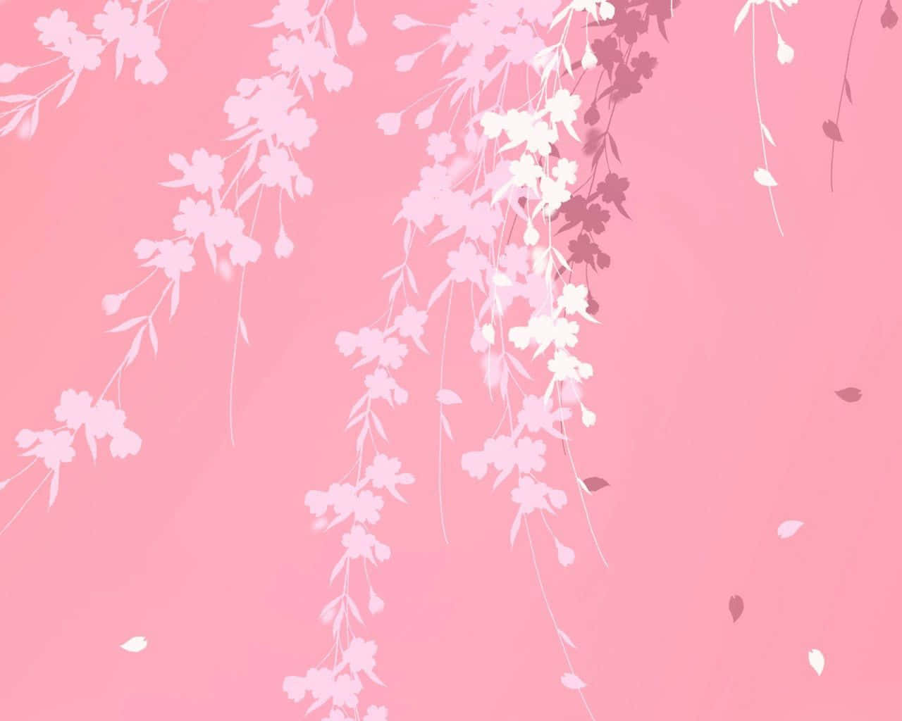 Vibrant Plain Pink Desktop Background