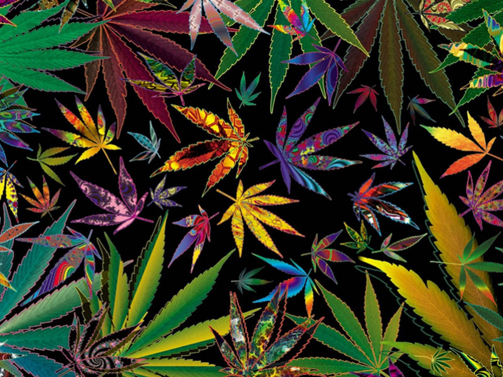 Vibrant Spectrum Of Cannabis Leafs