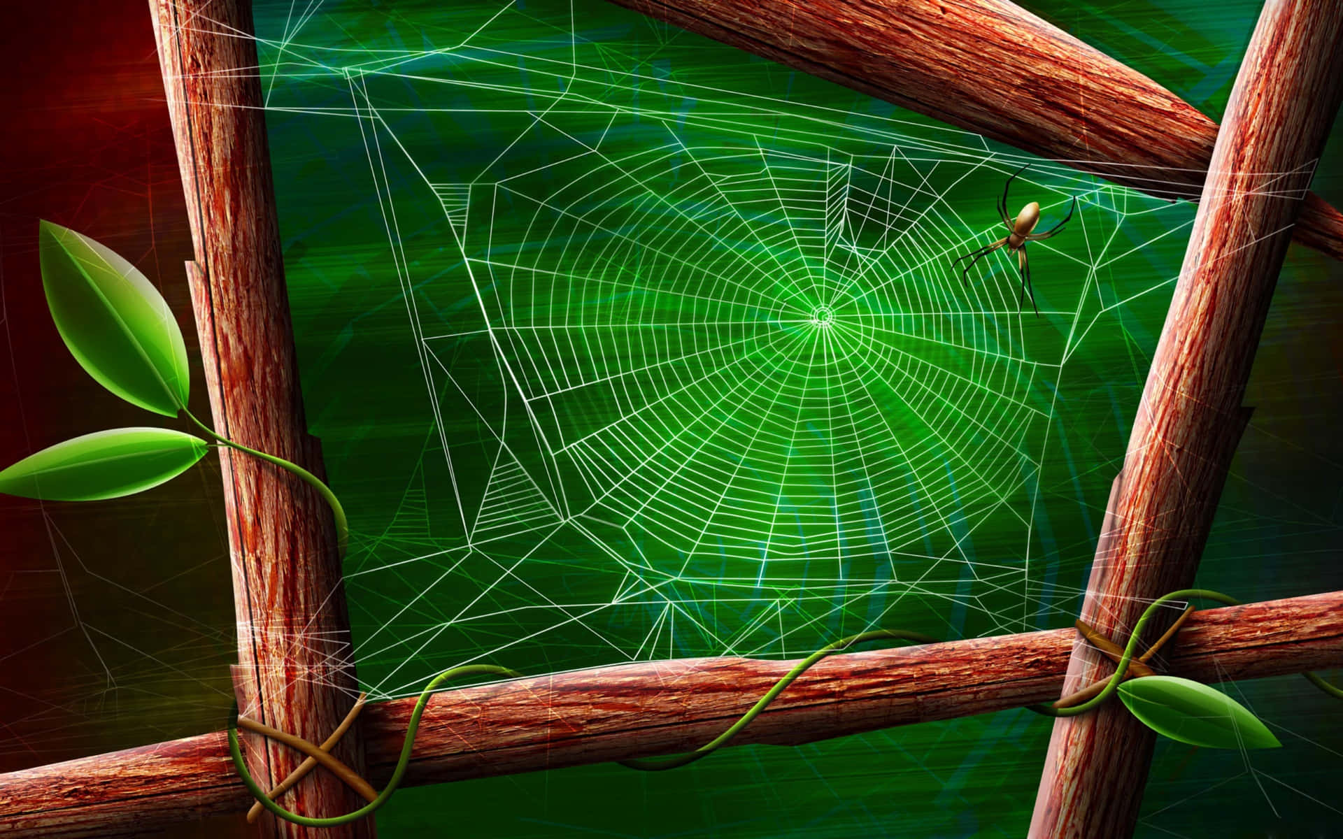 Vibrant Spider Web Wooden Frame Background