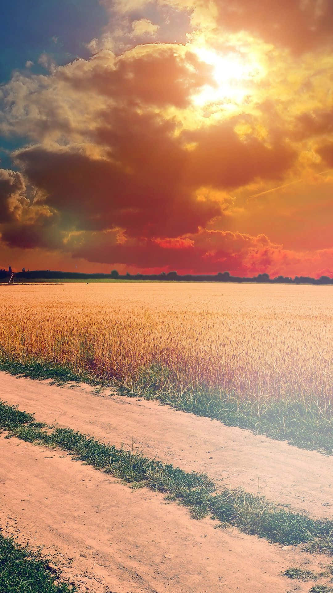 Vibrant Sunny Landscape With Orange Sky Background