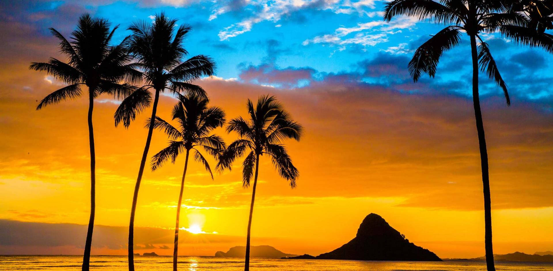 Vibrant Sunset In Oahu