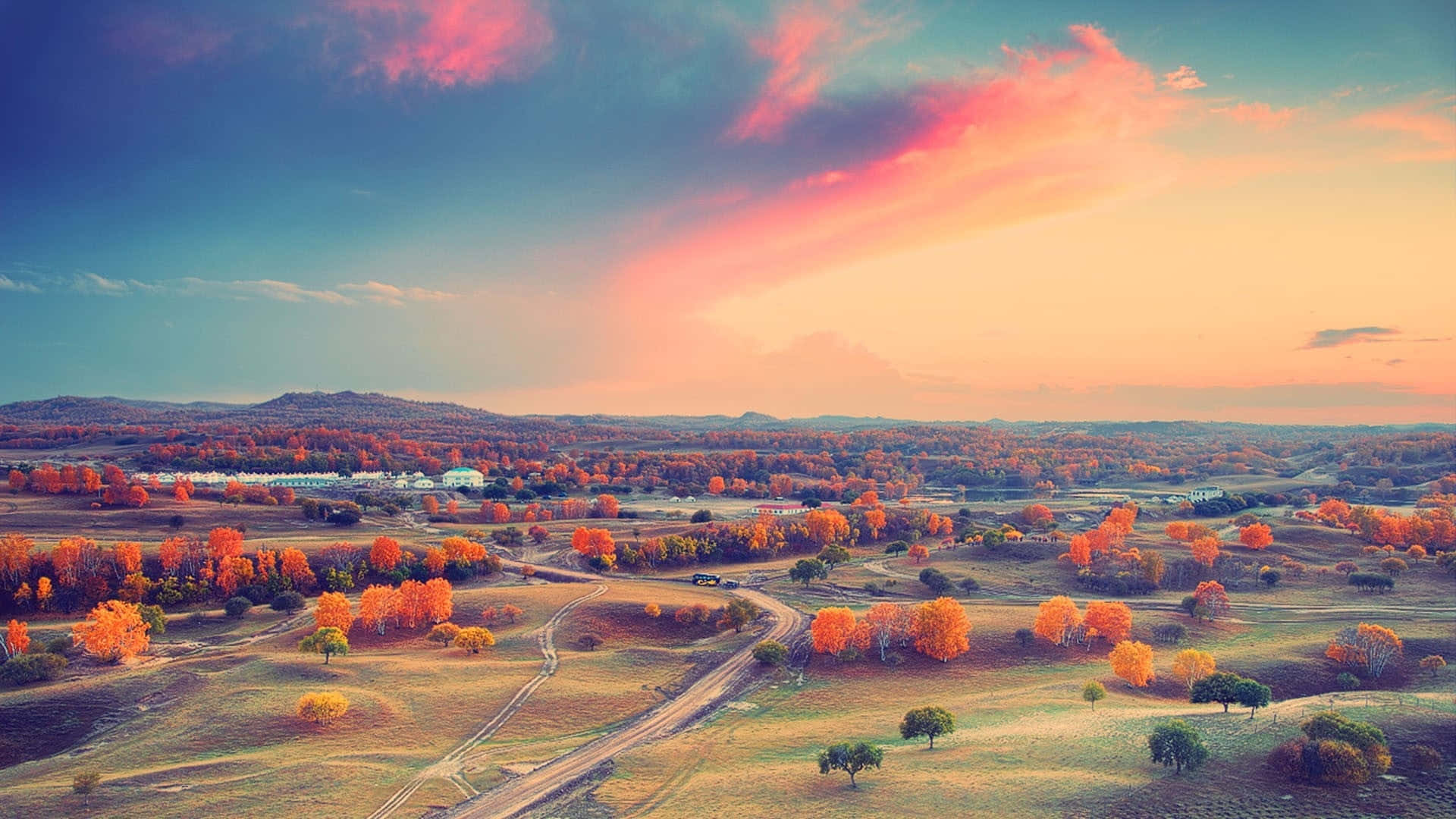“vibrant Sunset Over A Sea Of Greenery” Background
