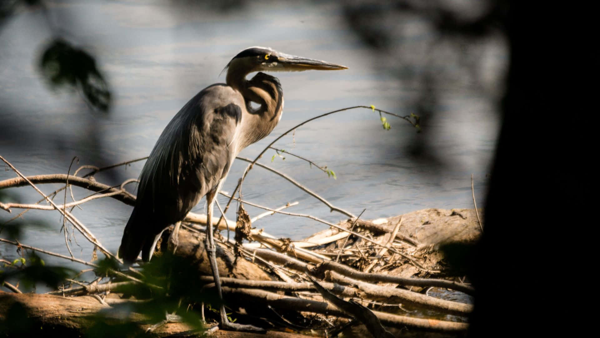 Vibrant Sunset Over City Skyline Background