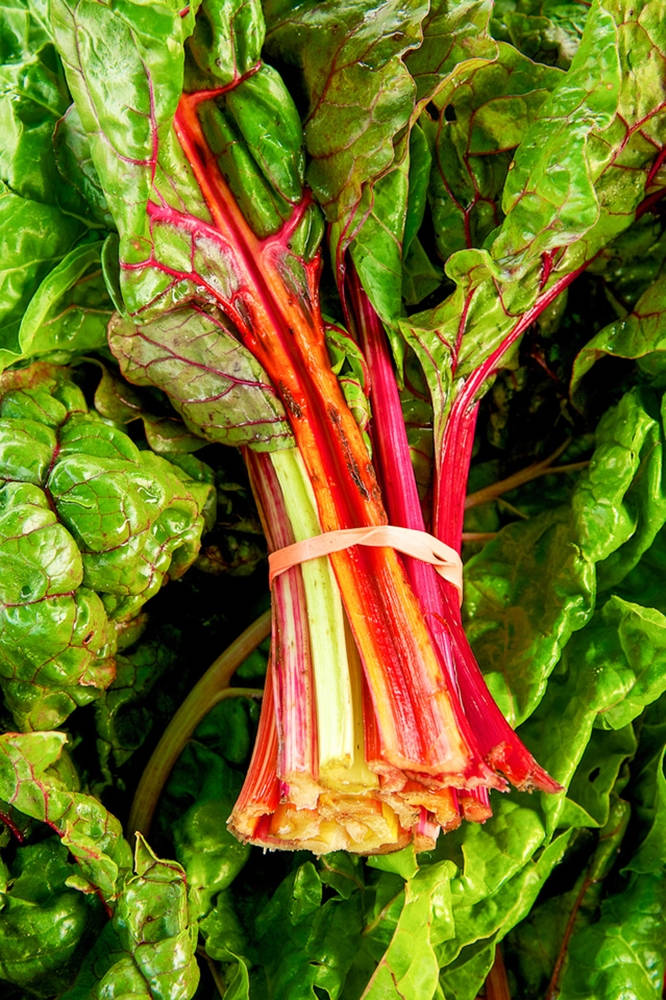 Vibrant Swiss Chard With Multicolored Stems Background