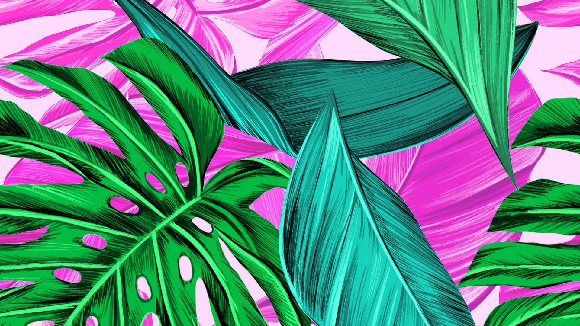 Vibrant Tropical Leaves Seem To Grace The Desktop Of An Eager And Inspired Vacationer Background