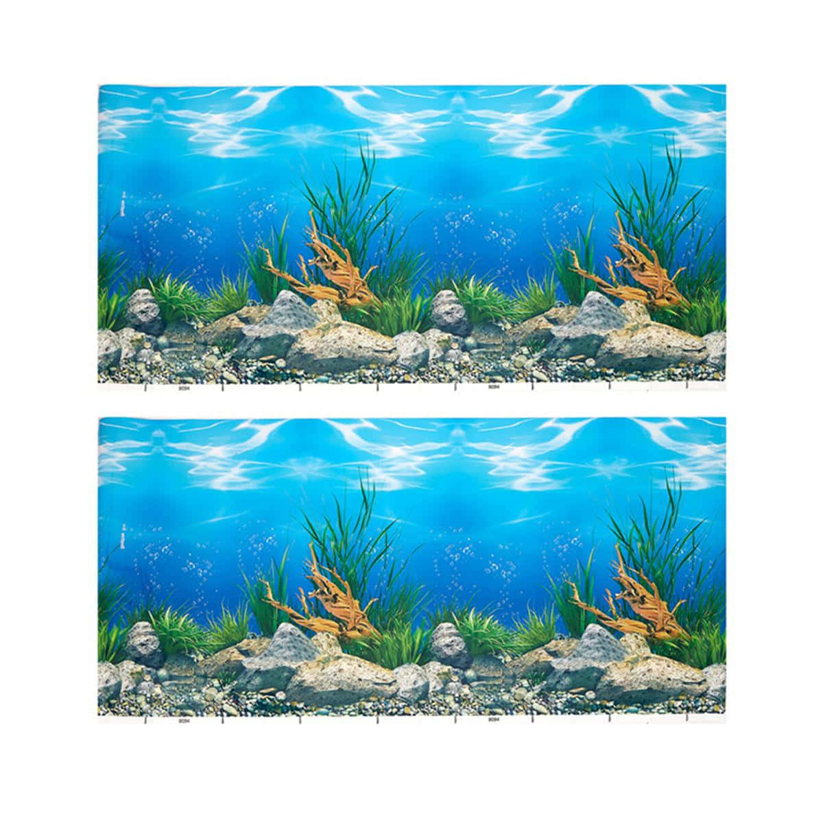 Vibrant Underwater Aquarium World Background