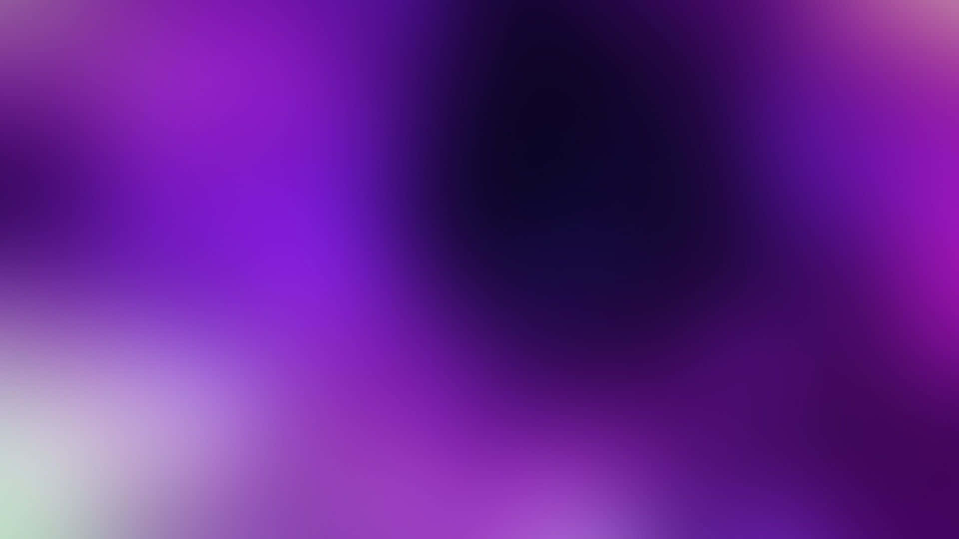Vibrant White And Purple Colors Form A Blooming Floral Design Background