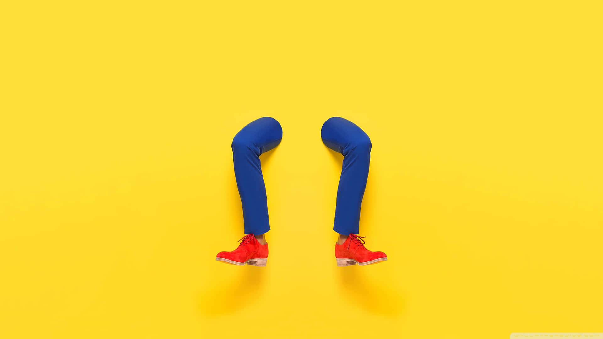 Vibrant Yellow Matte Background Background