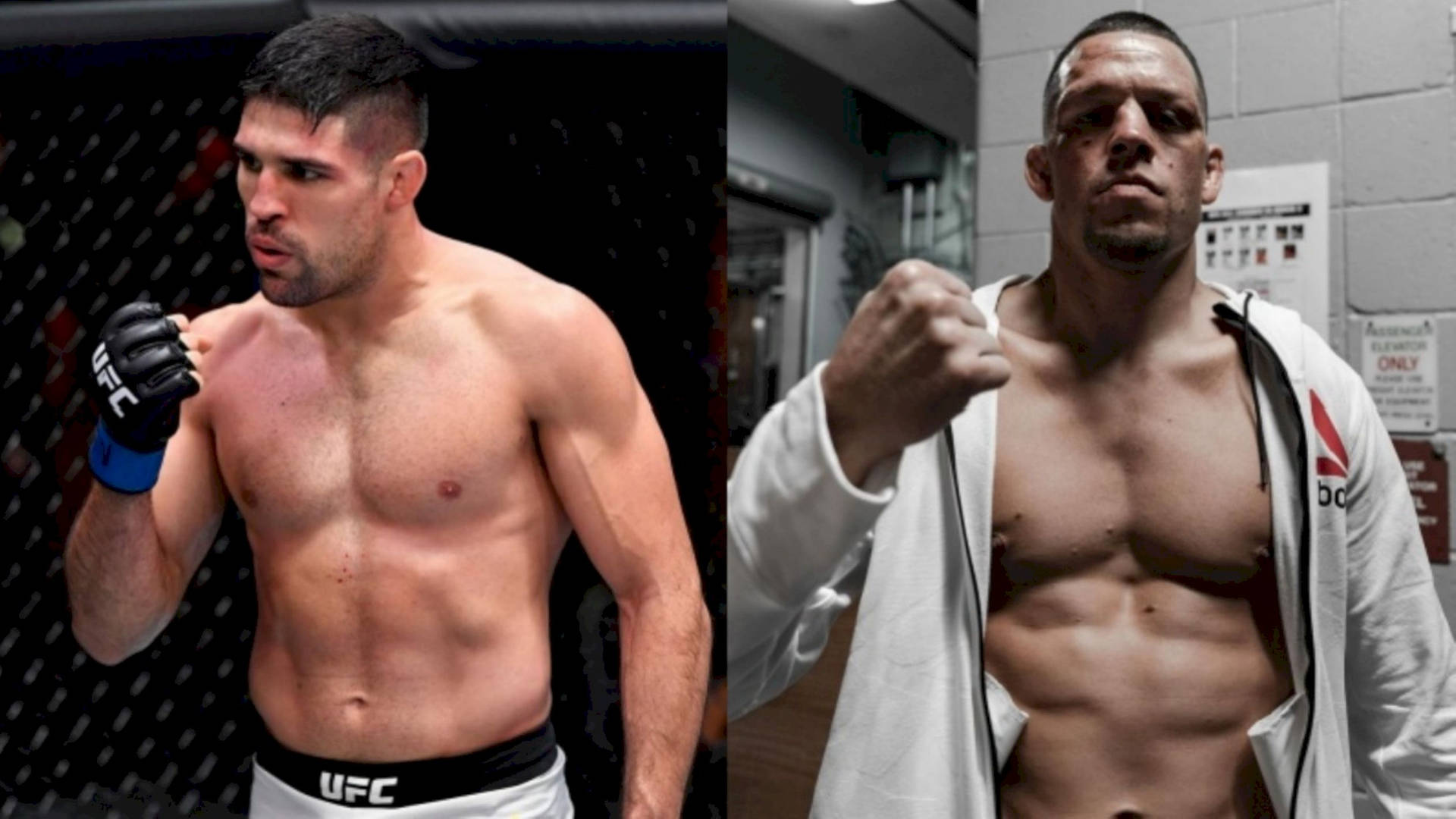 Vicente Luque And Nate Diaz Background