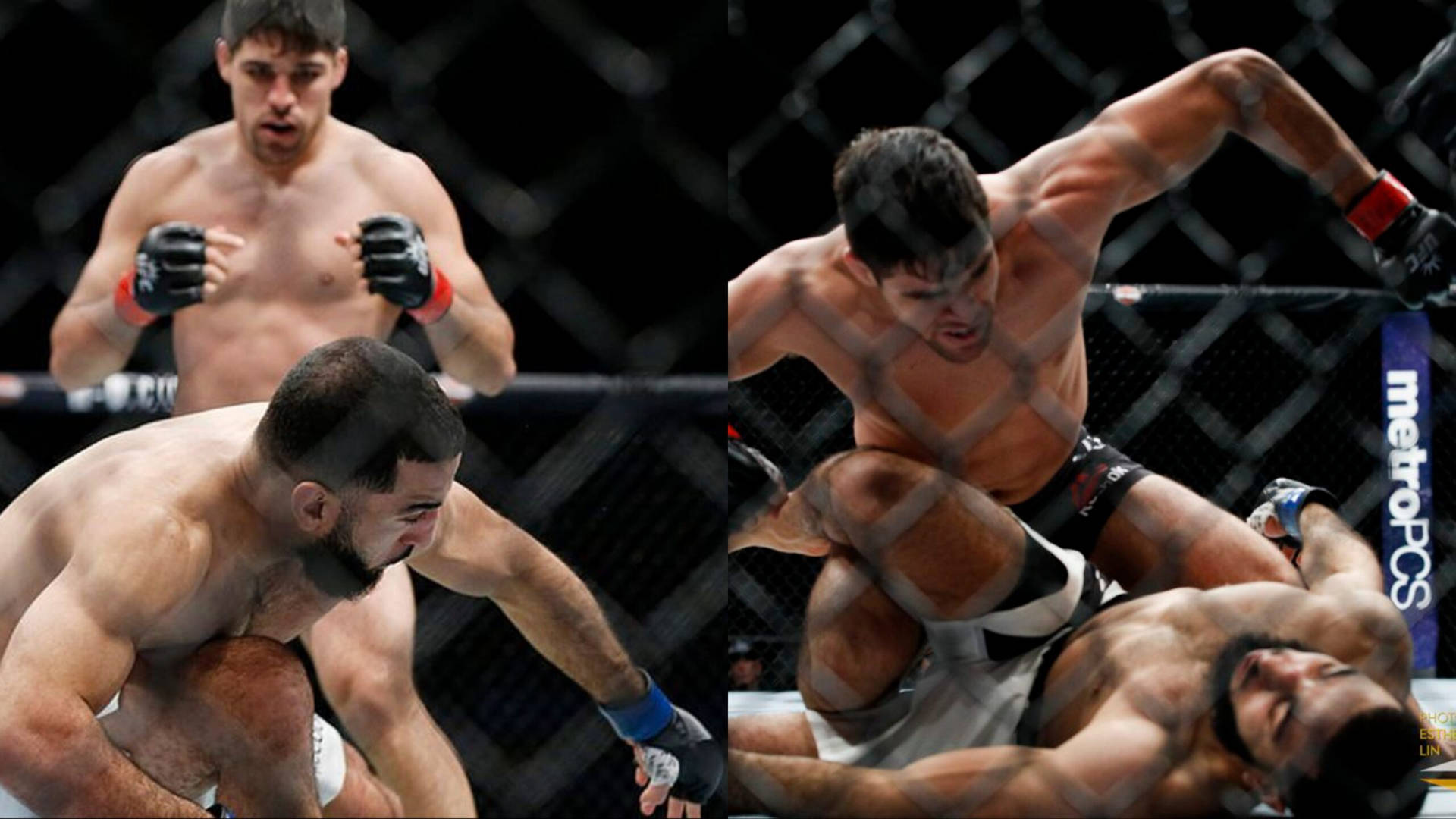 Vicente Luque Fighting Collage Background